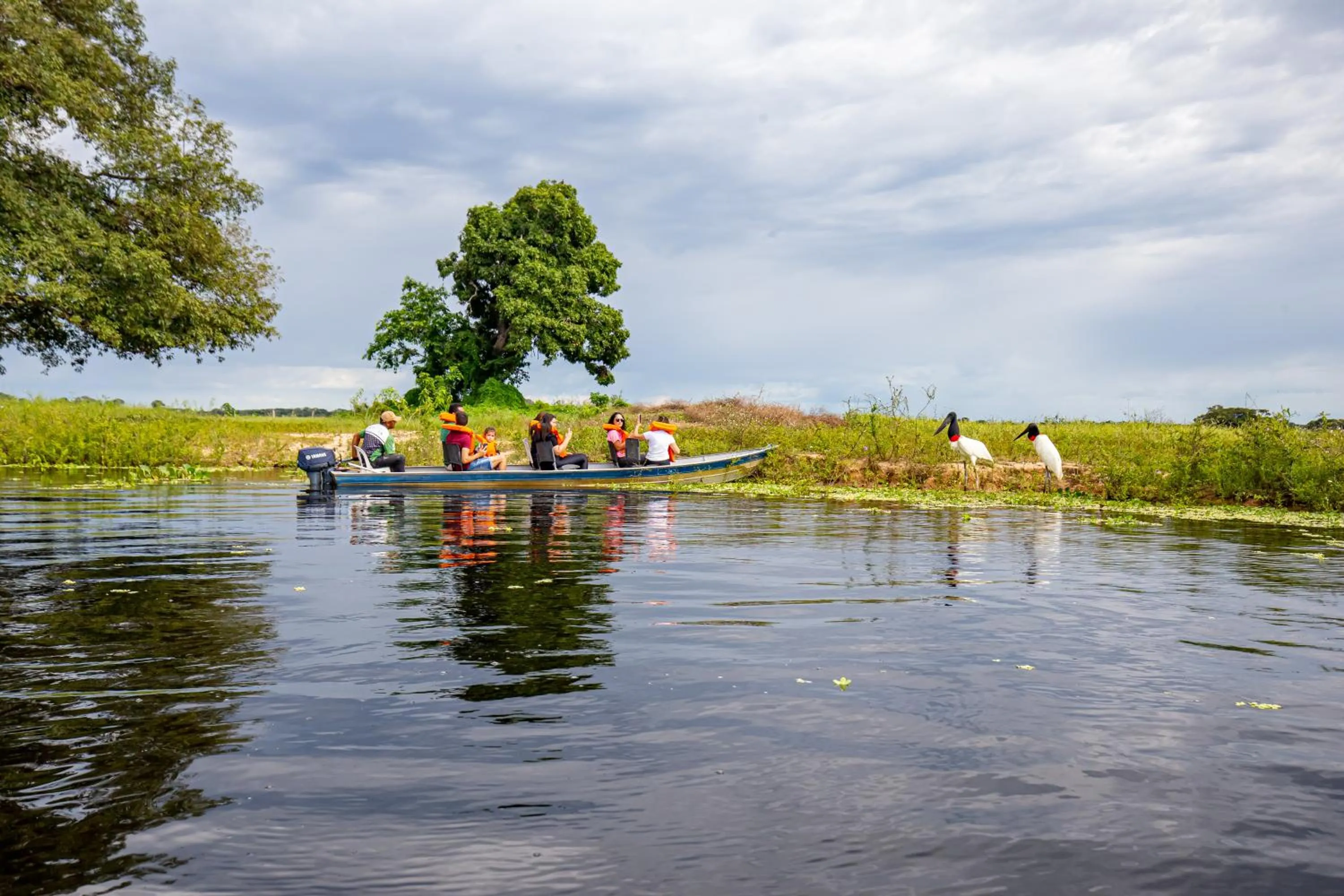 Animals in Hotel Pantanal Mato Grosso