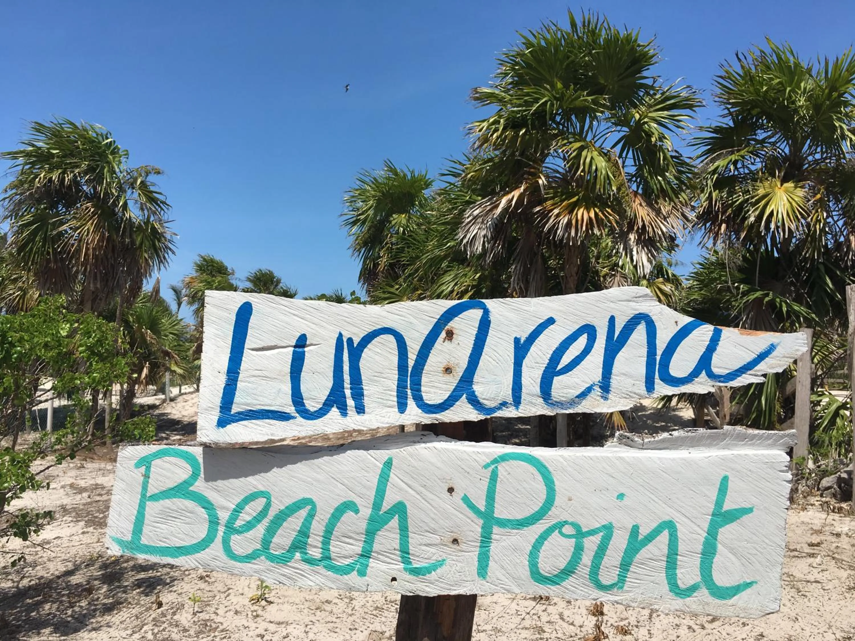 Logo/Certificate/Sign in LunArena Barefoot Comfort