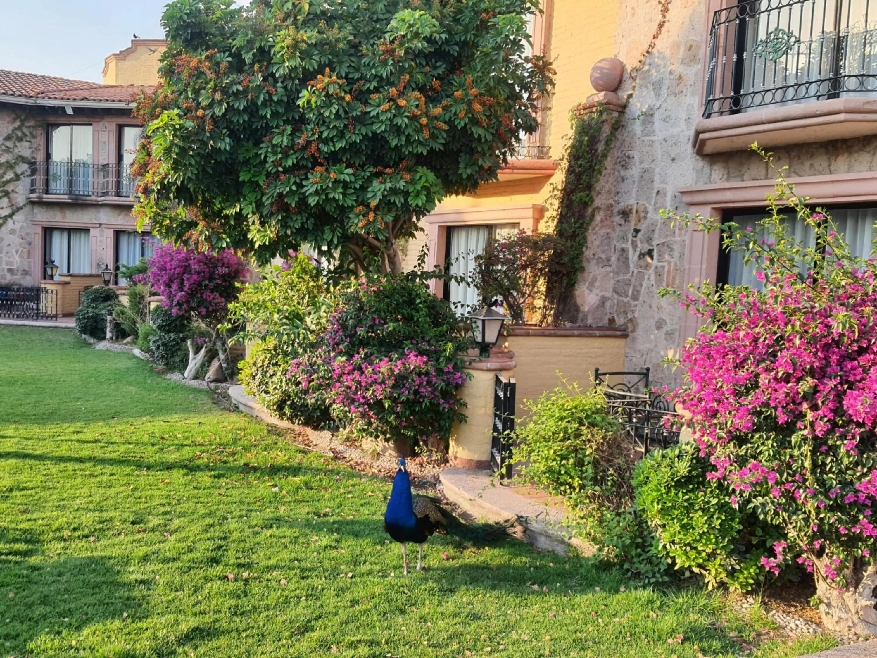 Property building in Gran Hotel Hacienda De La Noria