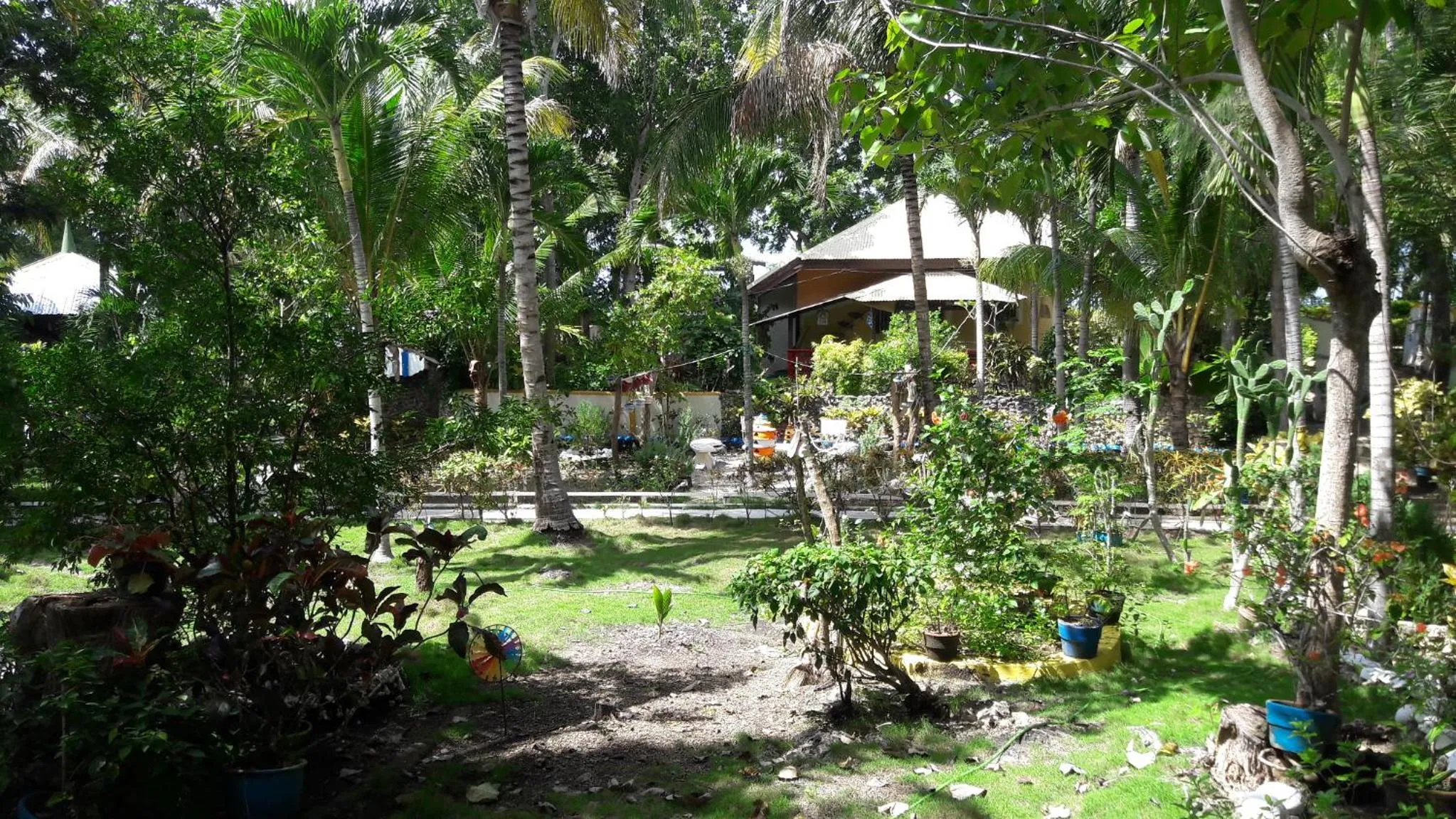 Garden in Casa de la Playa Beach Resort