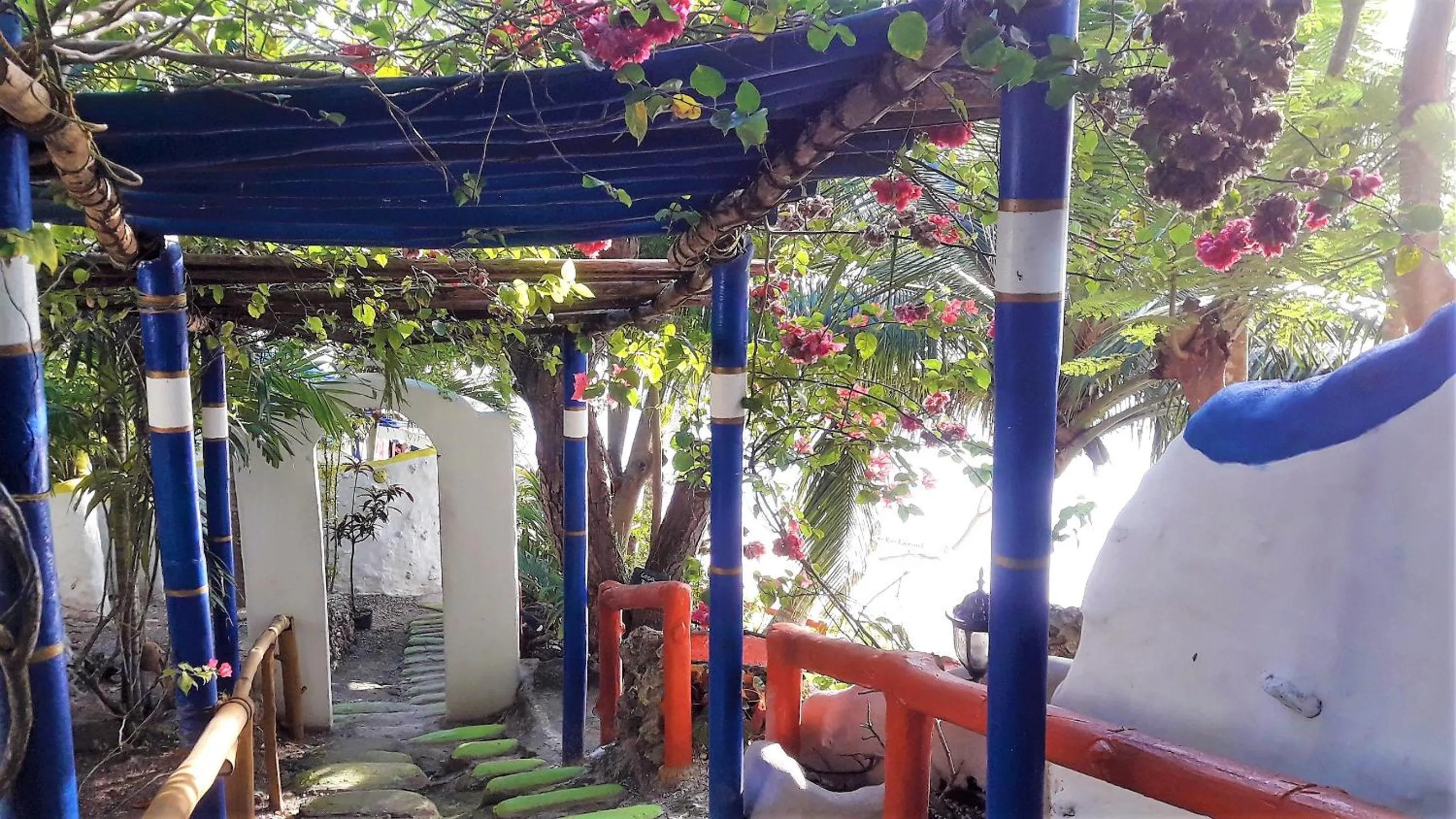 Garden in Casa de la Playa Beach Resort