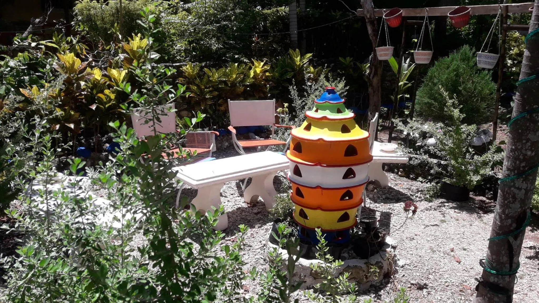 Garden in Casa de la Playa Beach Resort