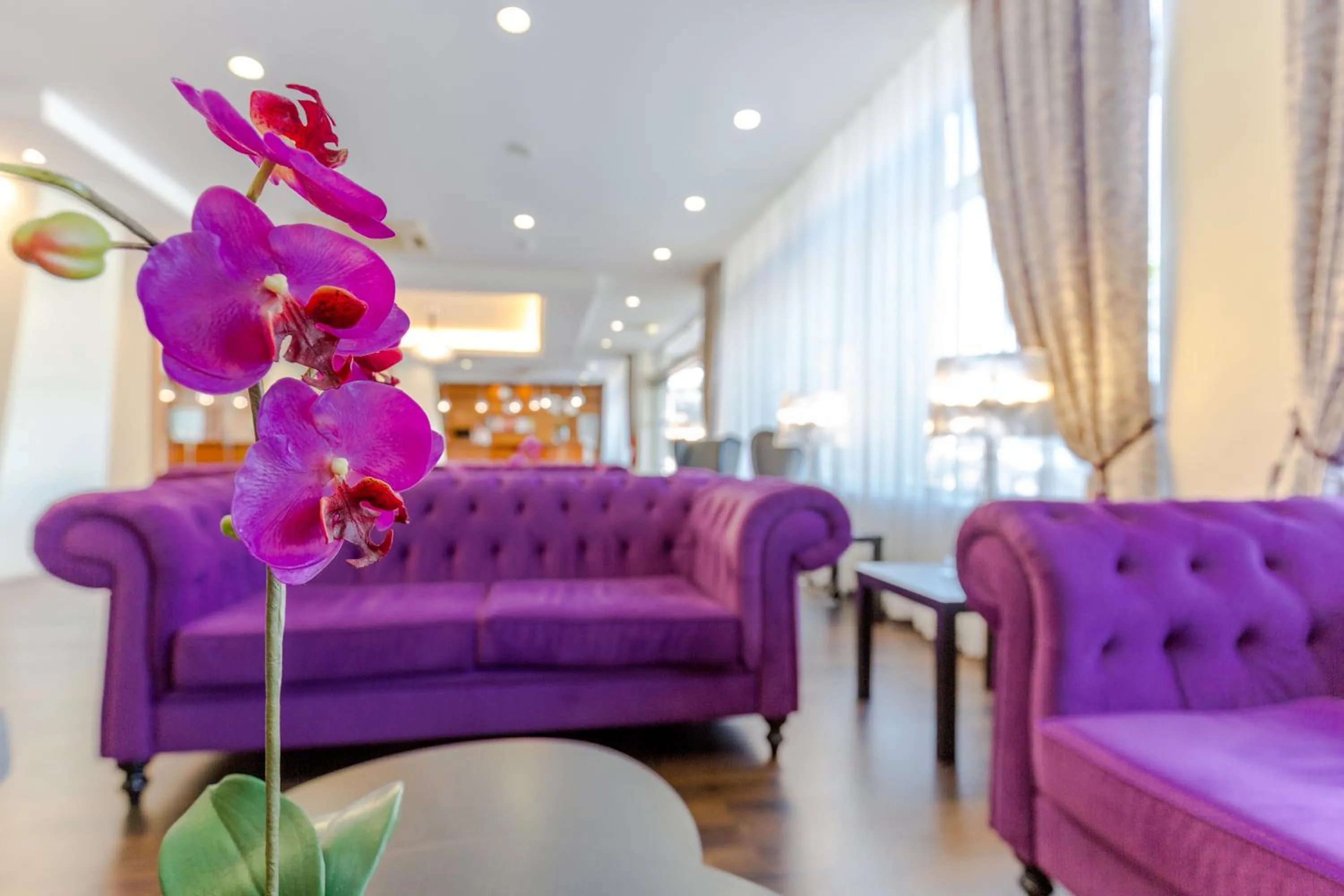 Lounge or bar, Seating Area in Luna Fatima Hotel