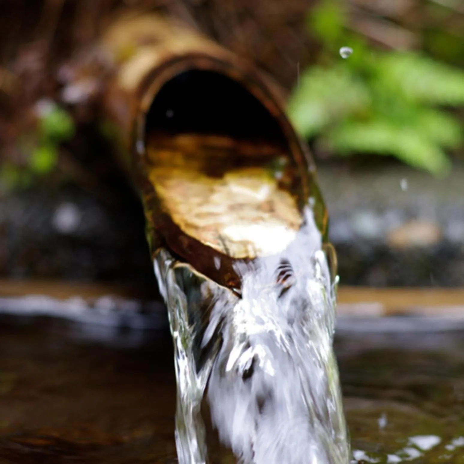 Hot Spring Bath in Houshoutei