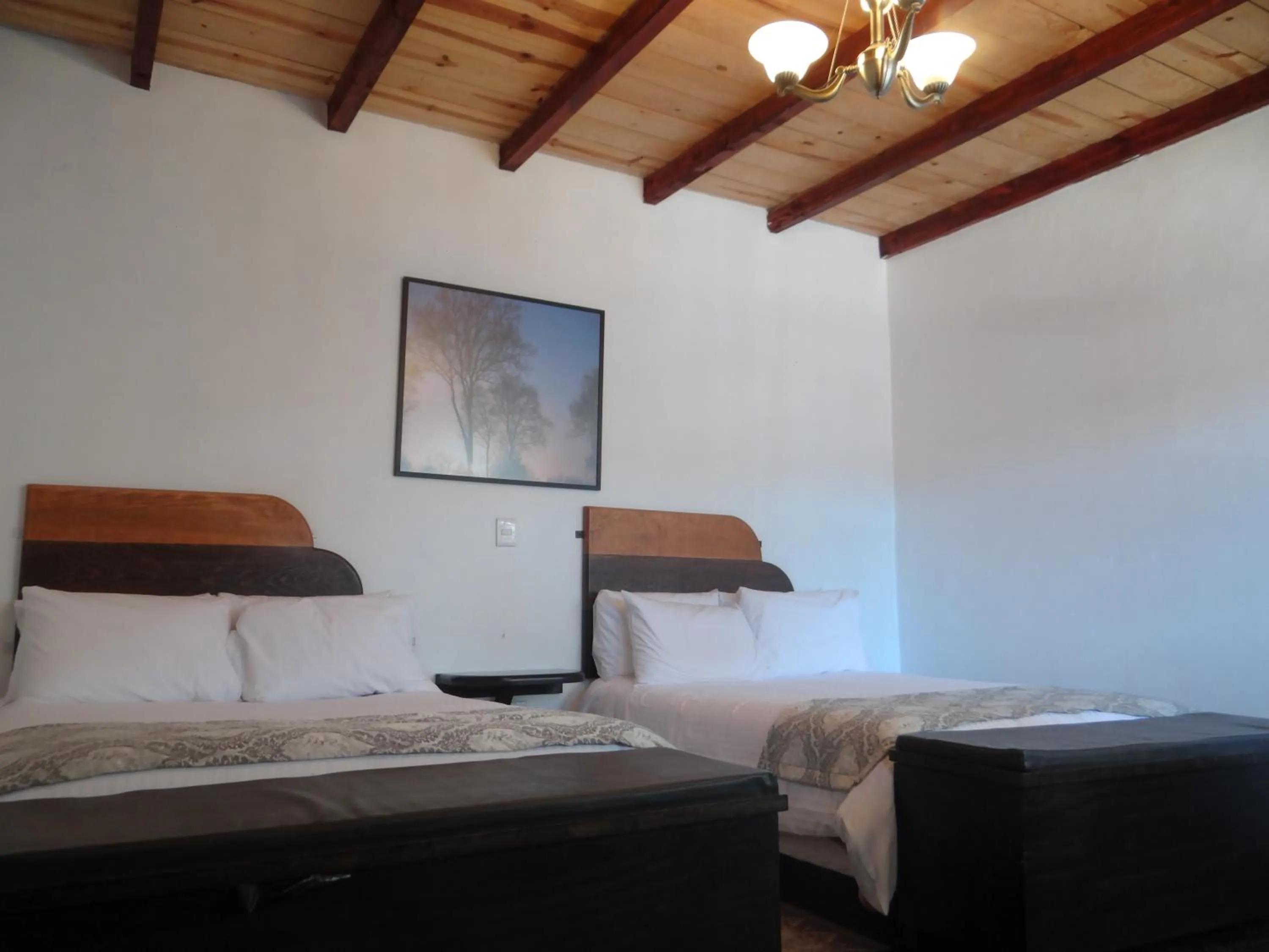 Bed in Regis Hotel Boutique