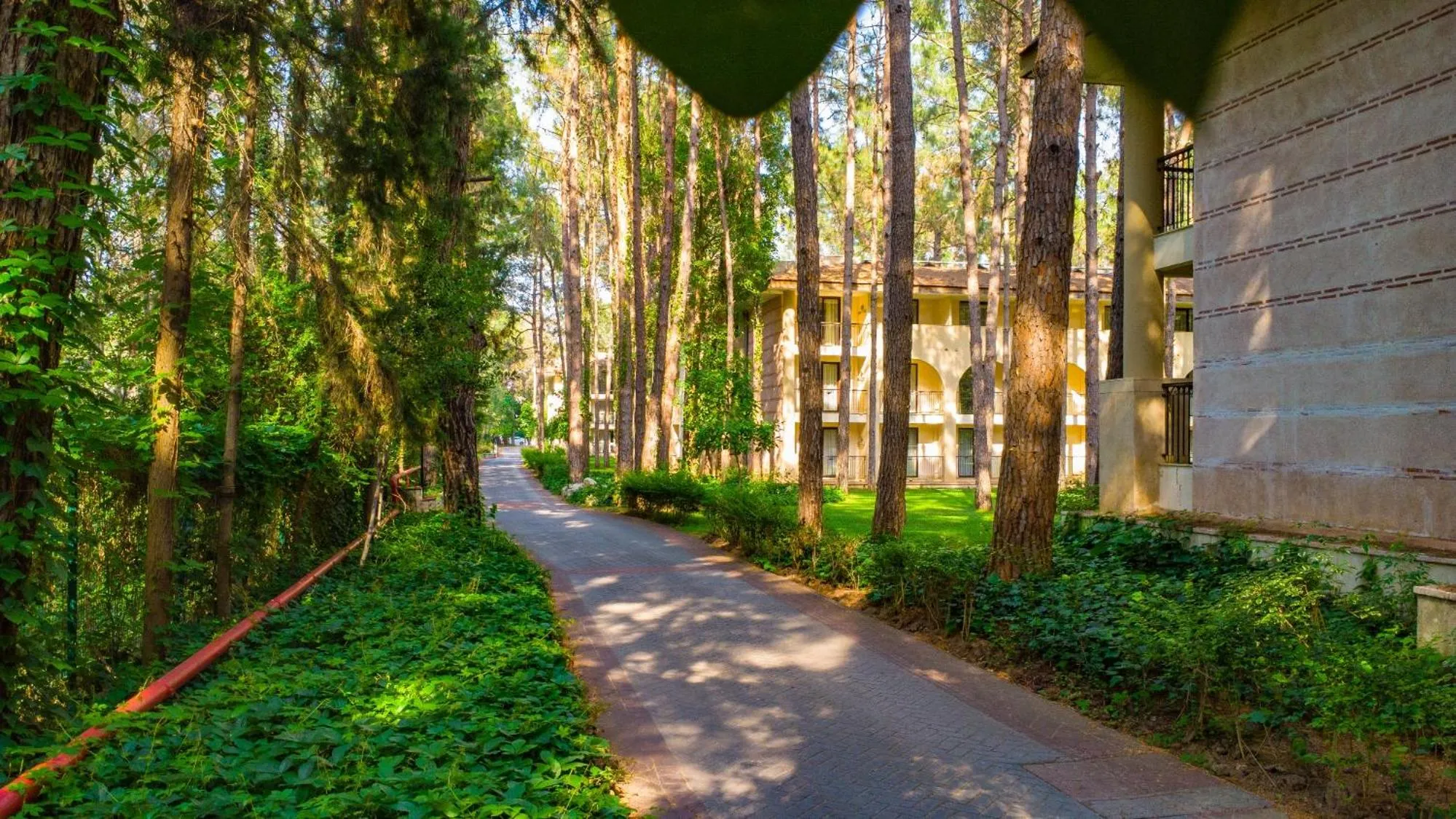 Garden in Champion Holiday Village