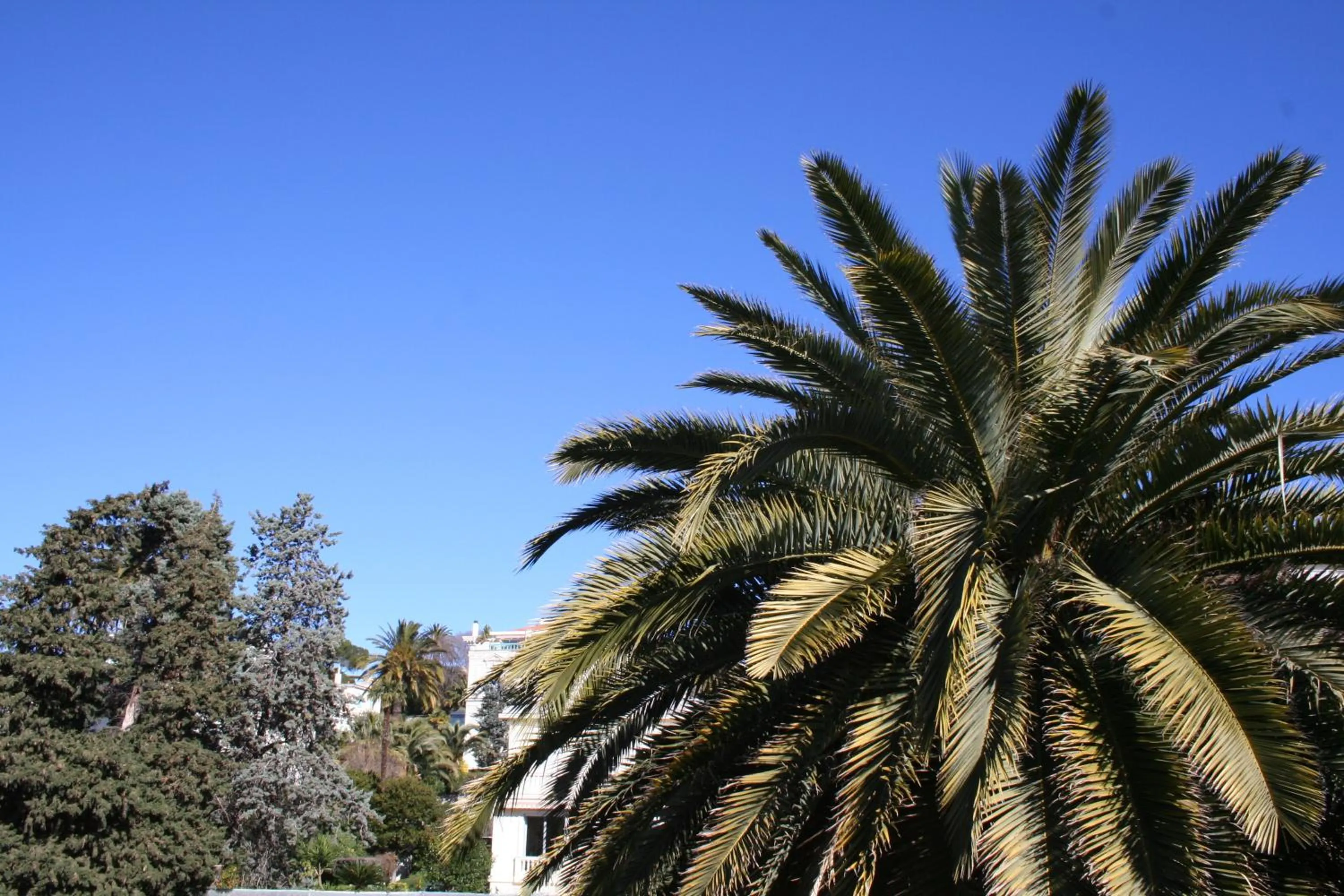 Other in Résidence La Villa Léonie