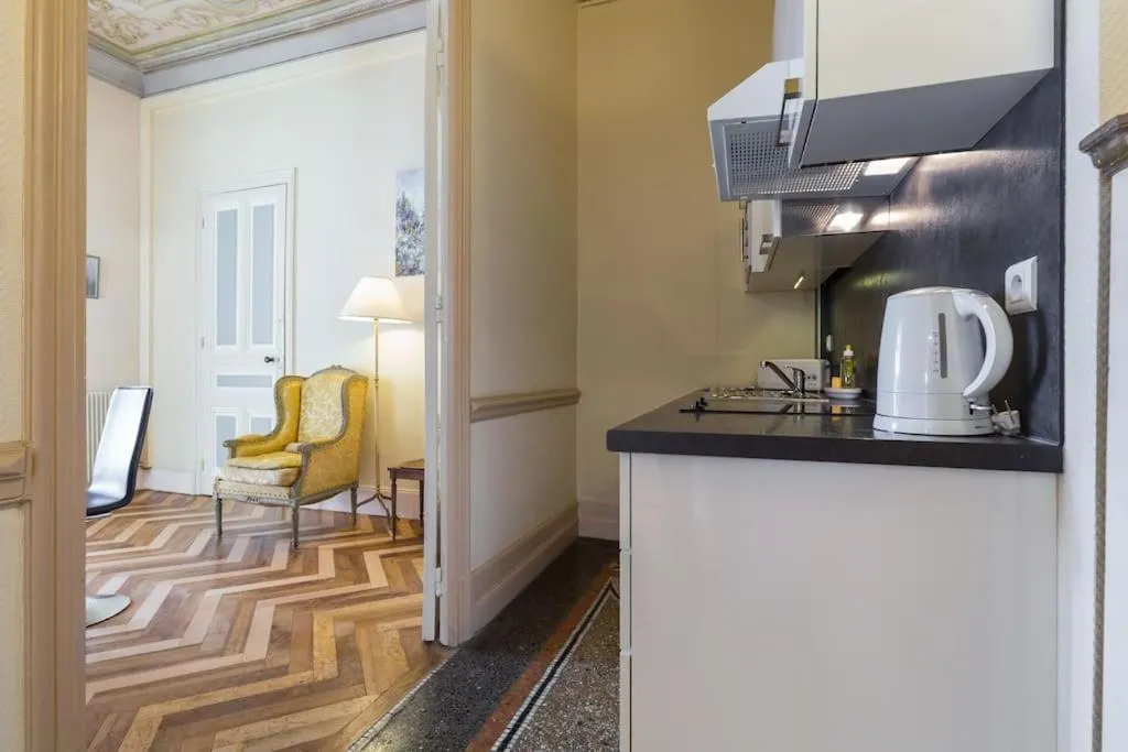 Kitchen or kitchenette in Résidence La Villa Léonie