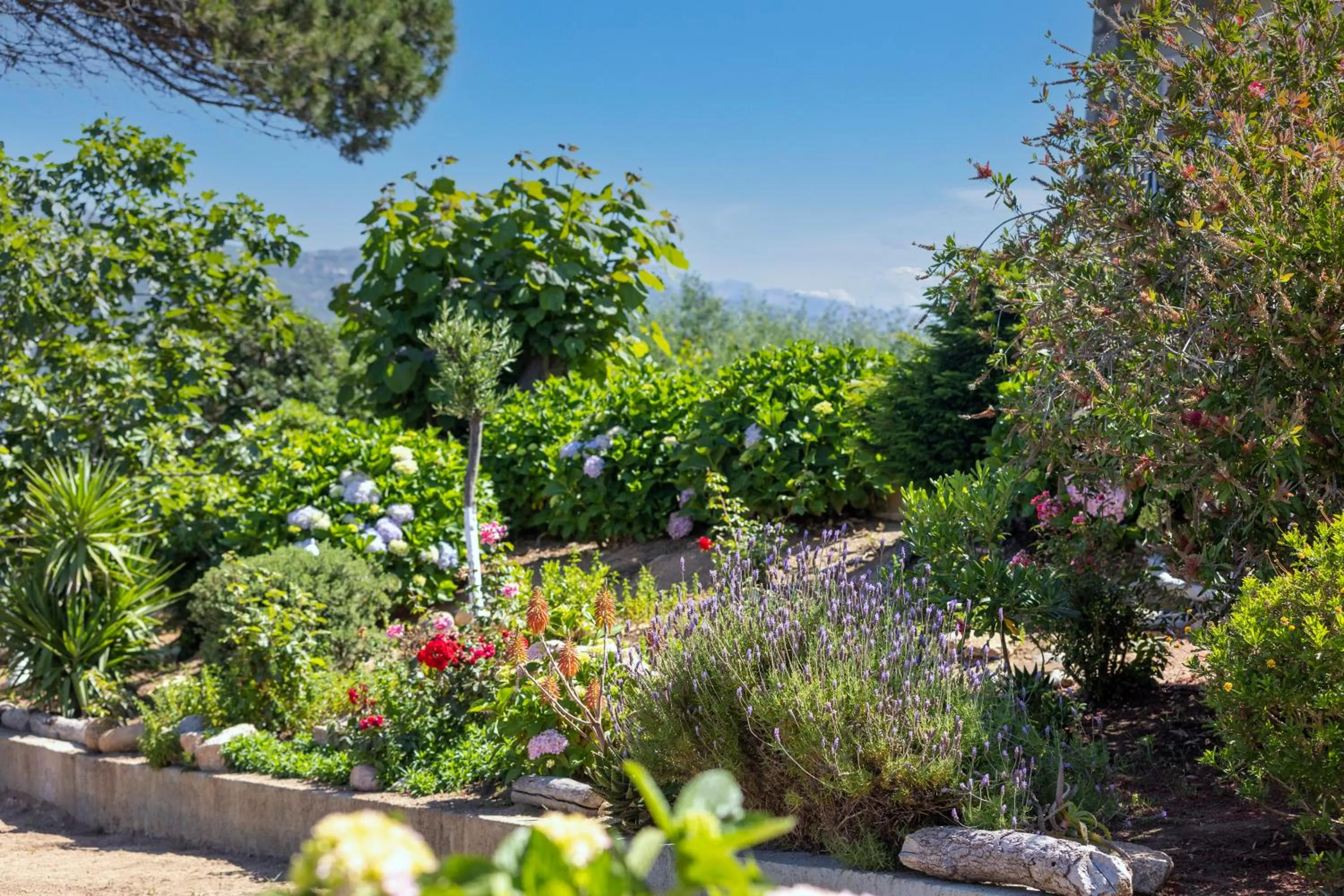 Natural landscape in Hotel Arcu Di Sole