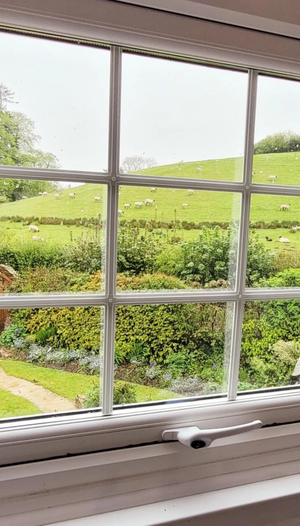 Garden view in Kingsley Cottage