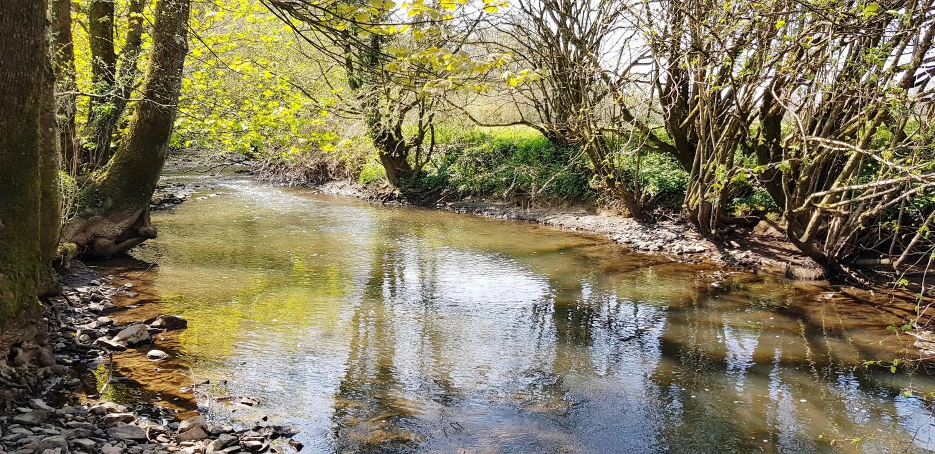 Natural landscape in Kingsley Cottage