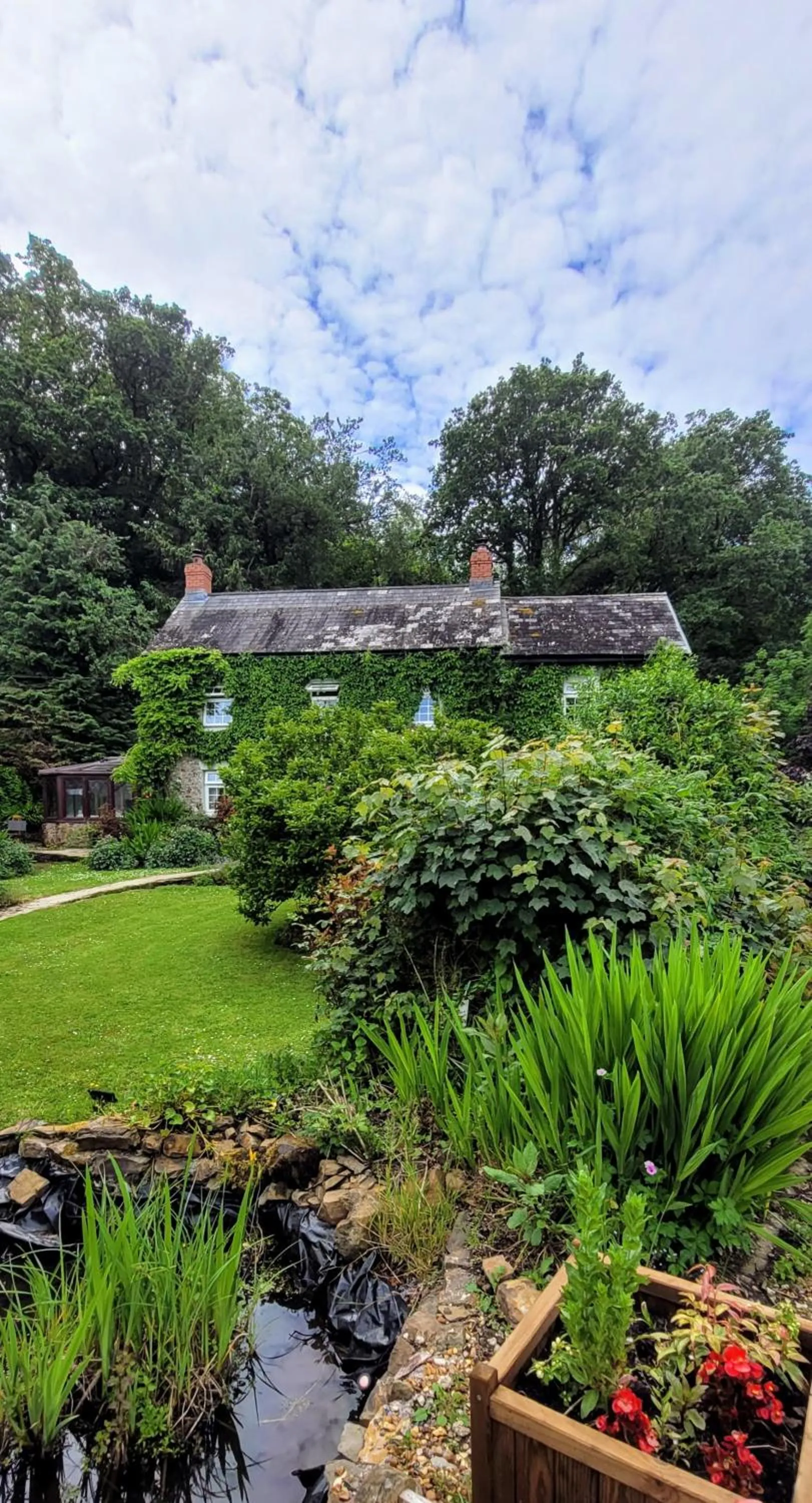 Natural landscape in Kingsley Cottage