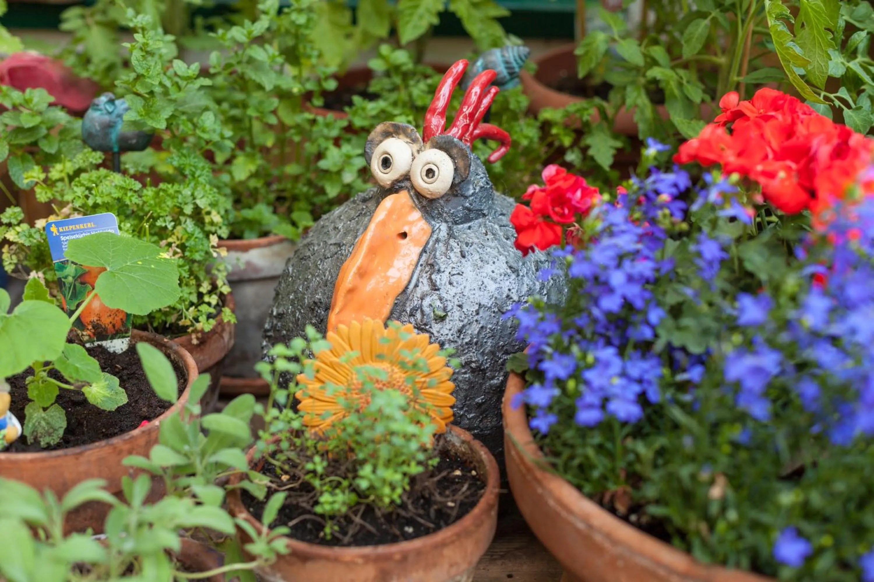 Garden in Hotel-Pension Wagnermigl