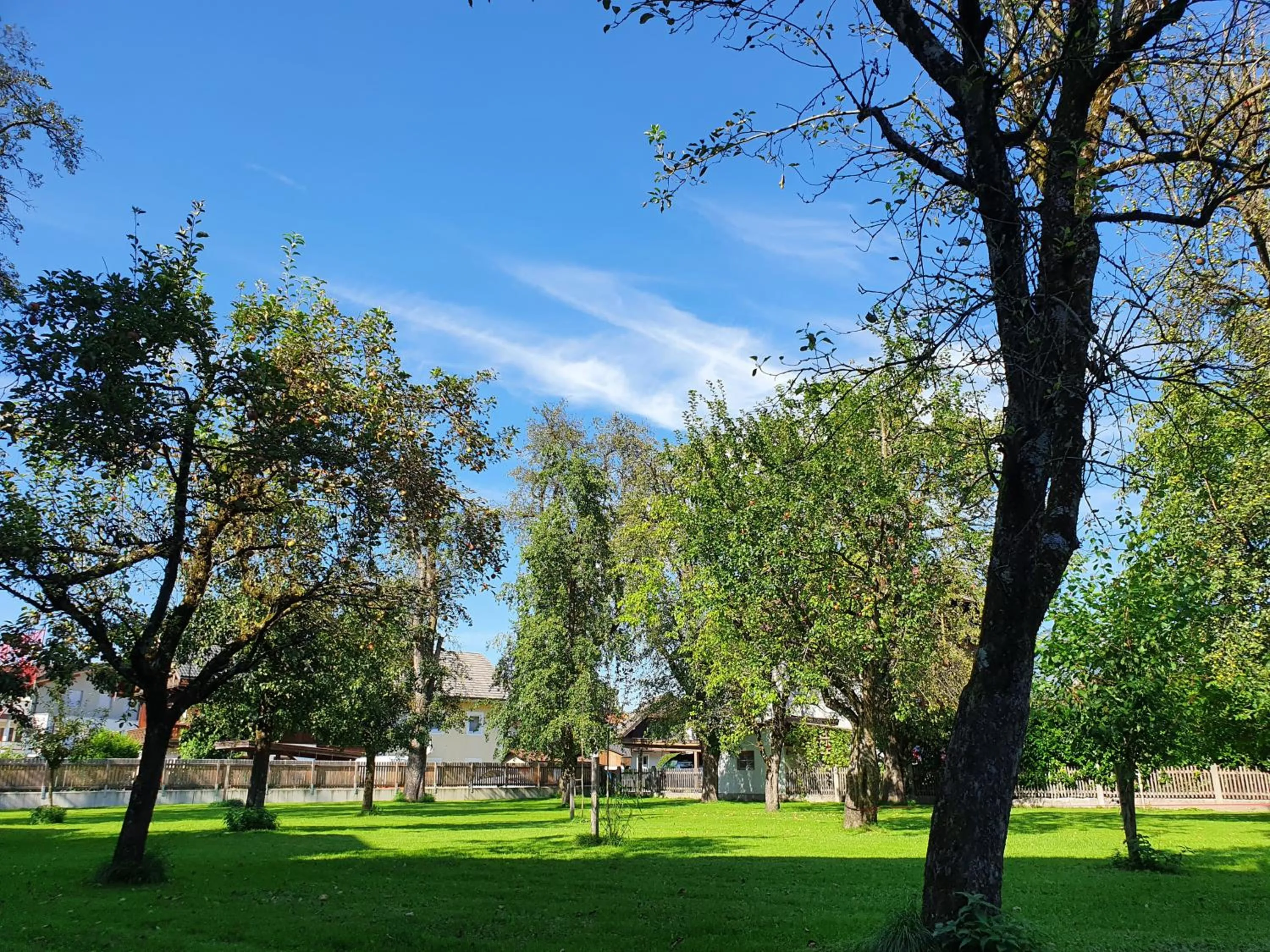 Natural landscape in Hotel-Pension Wagnermigl