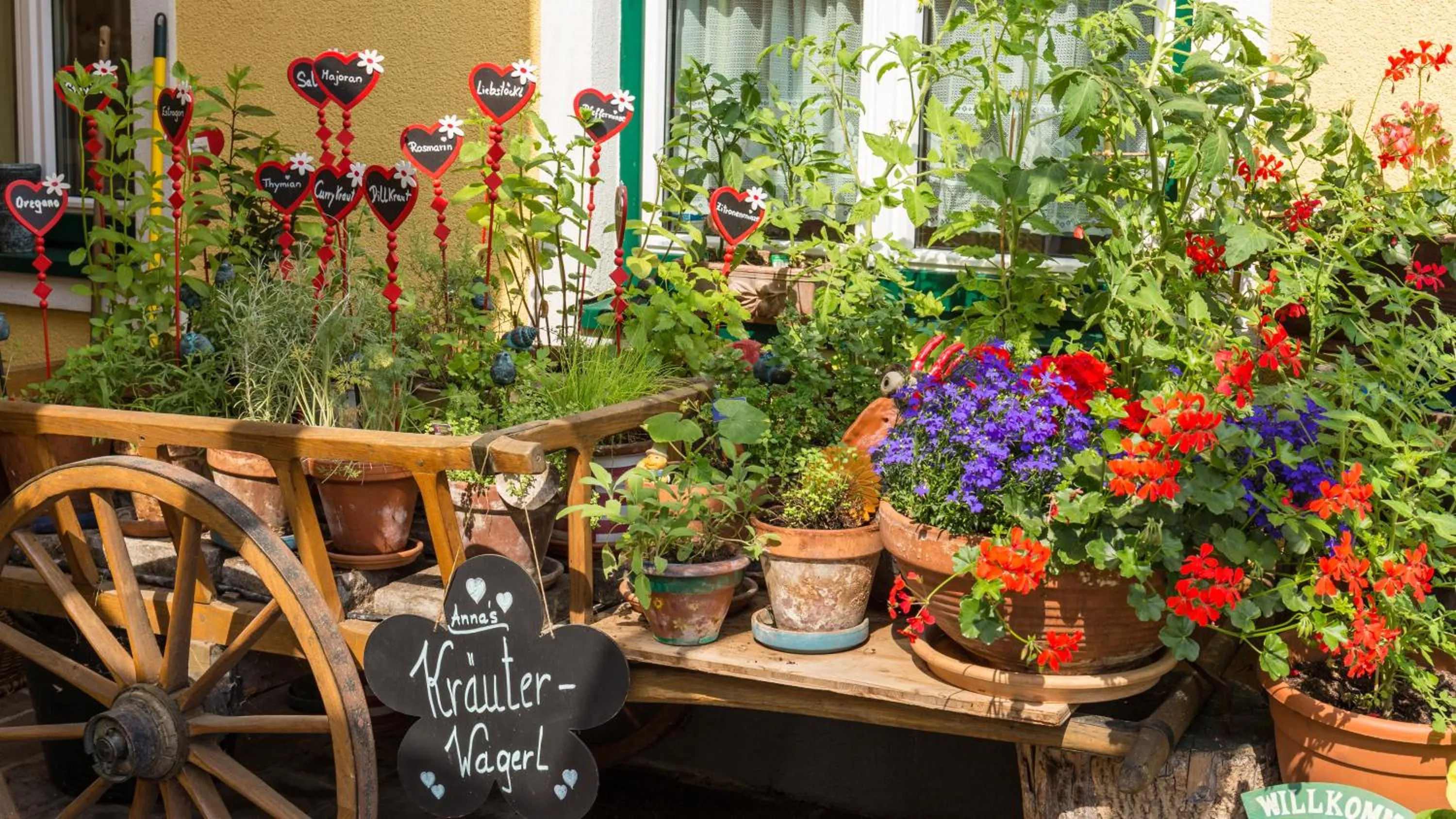 Garden in Hotel-Pension Wagnermigl