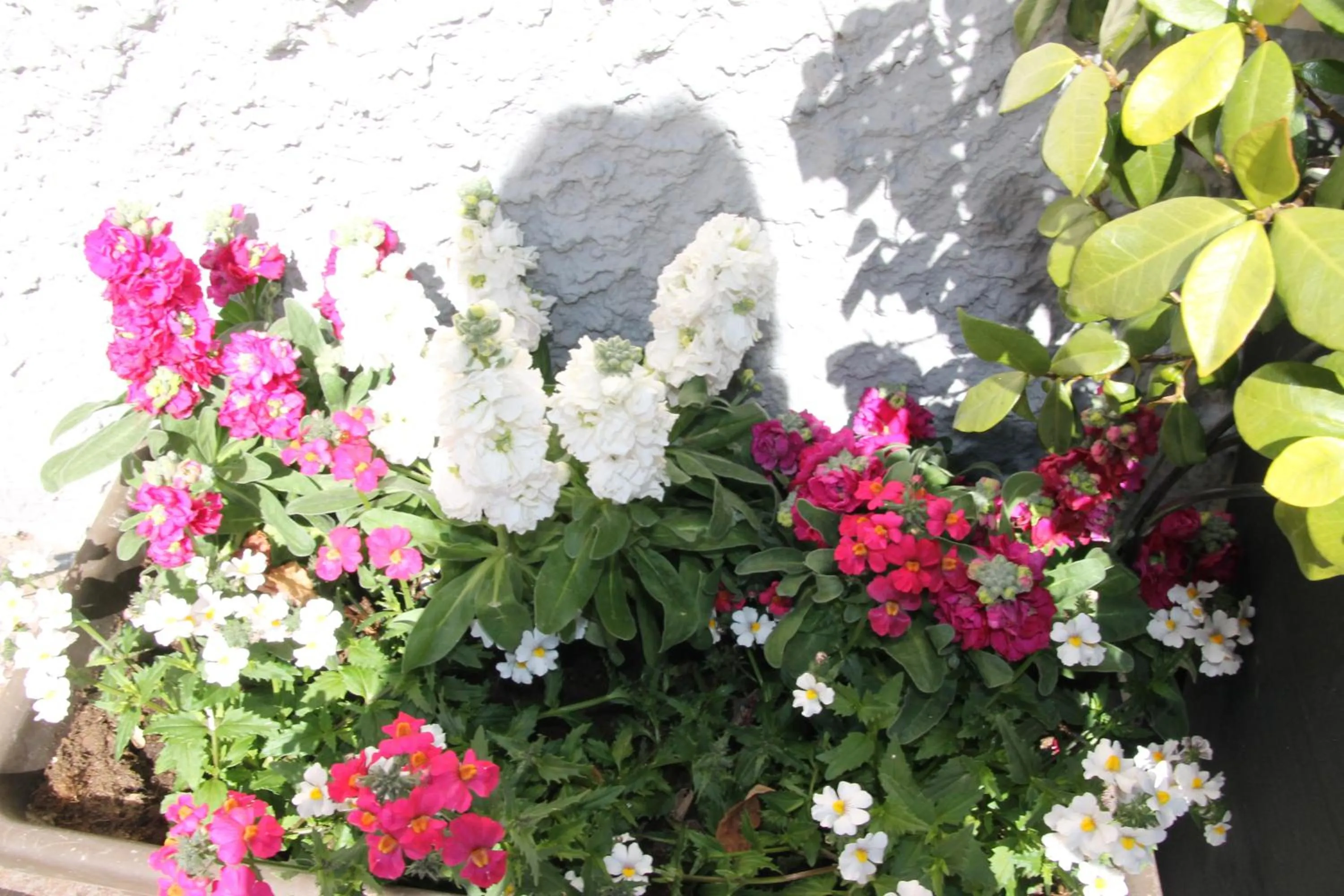 Garden in Garni Brunnenhof