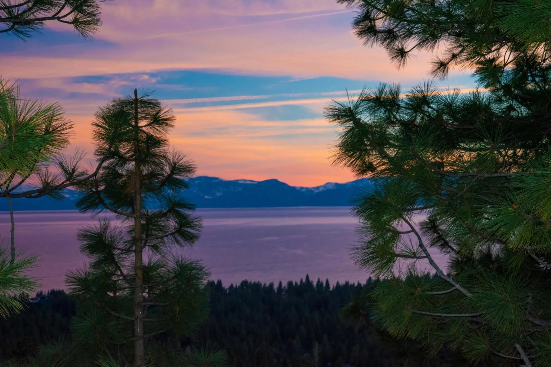 Sunset in Tahoe Chaparral