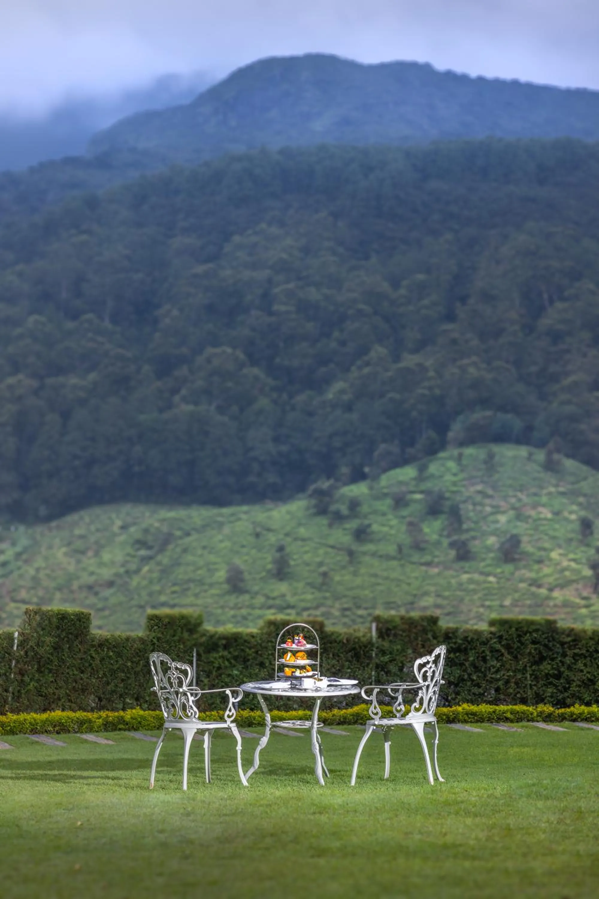 Day in The Golden Ridge Hotel