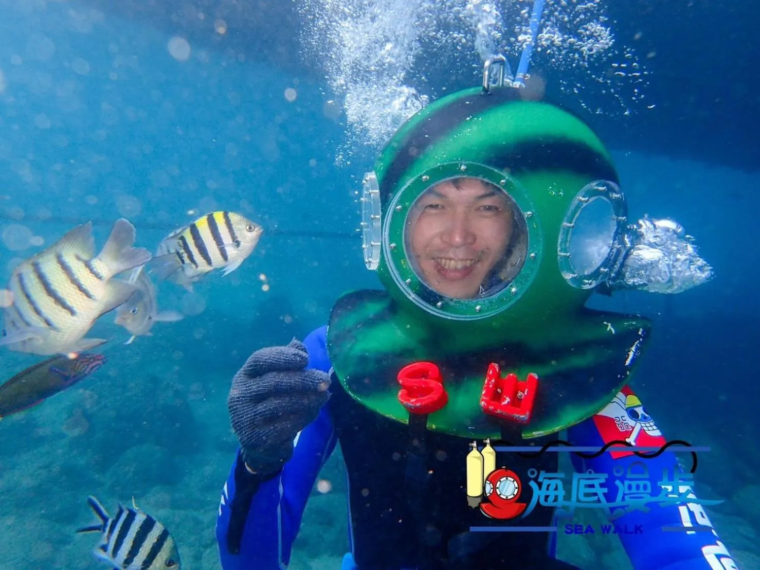 Diving in Penghu Color FIsh Homestay