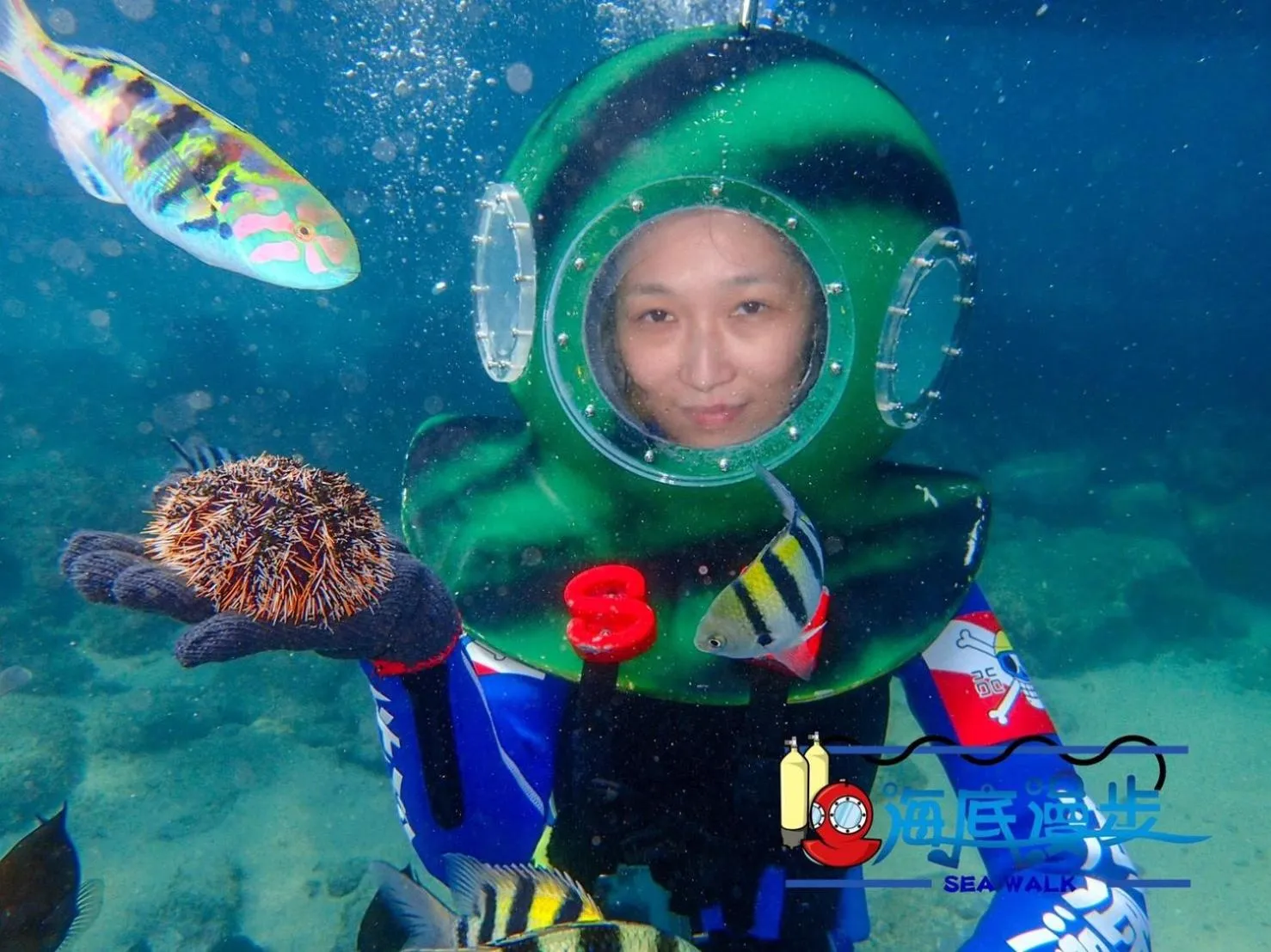 Diving in Penghu Color FIsh Homestay