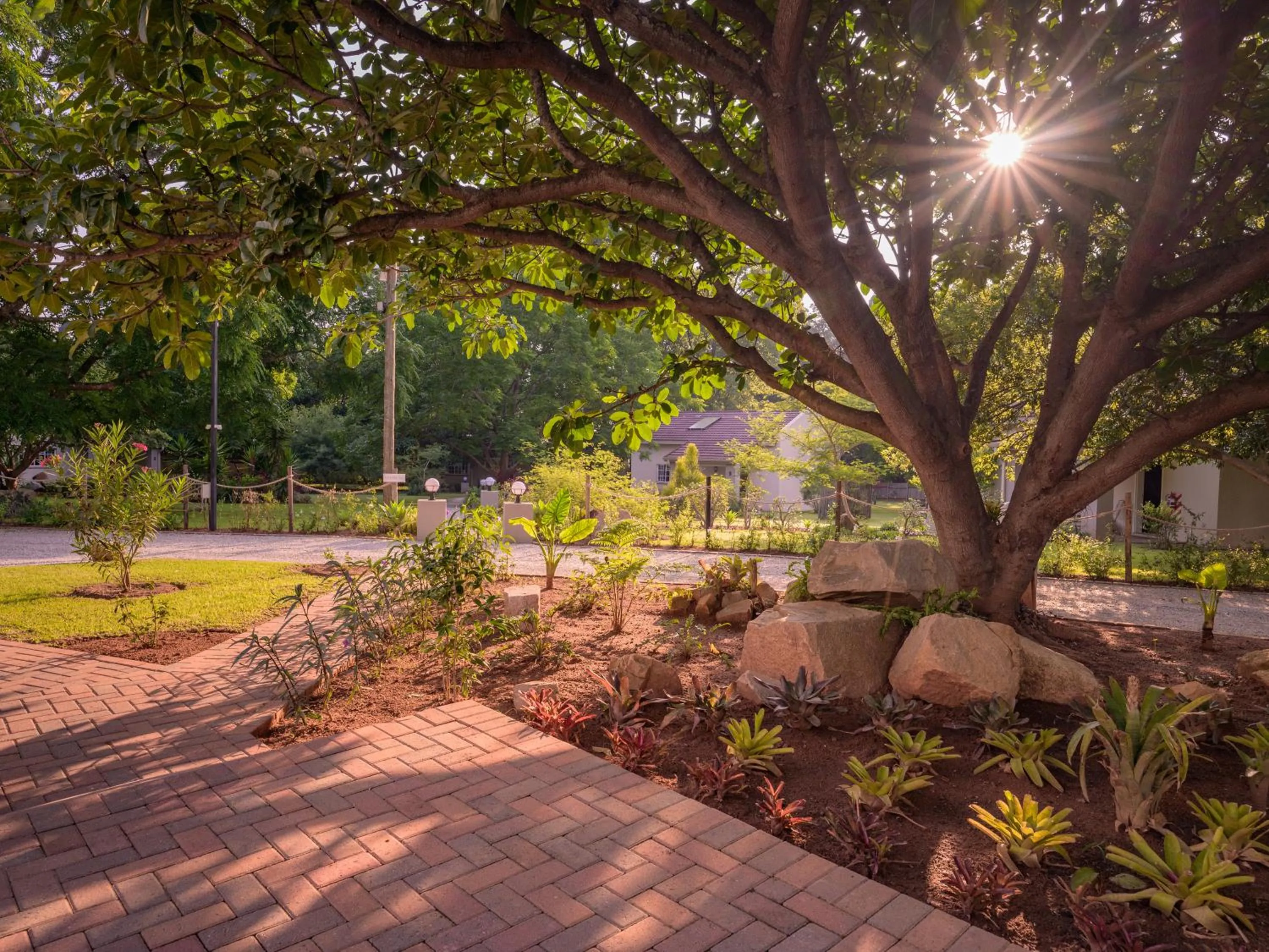 Garden in Monkey Thorn Lodge & Wellness Spa - Adults Only
