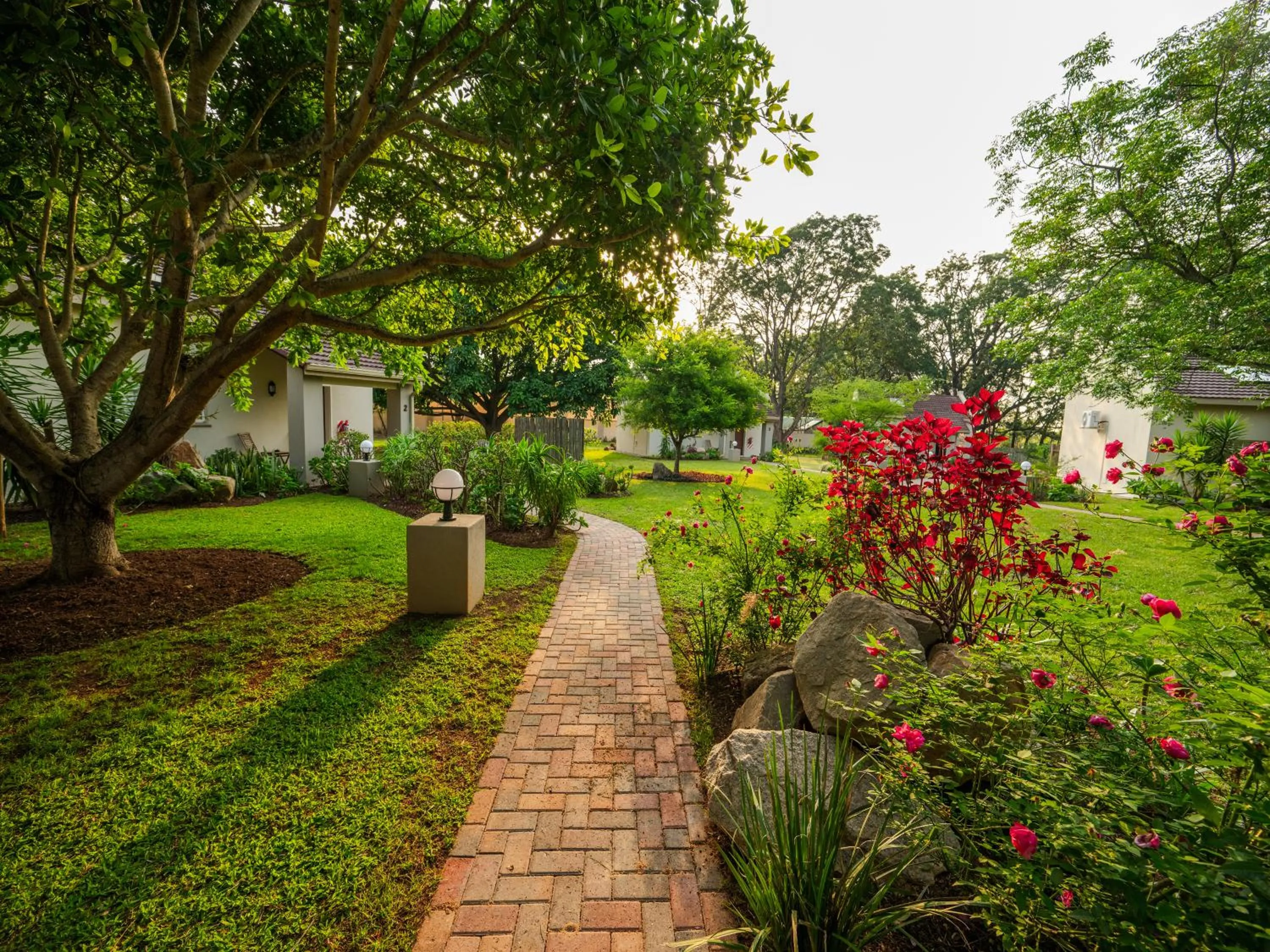 Garden in Monkey Thorn Lodge & Wellness Spa - Adults Only