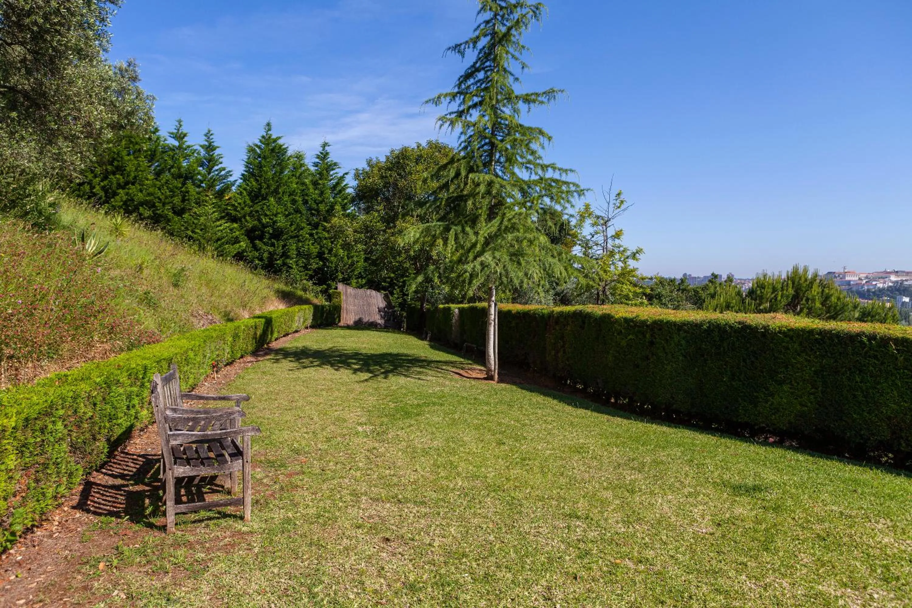 Garden in Hotel D. Luis