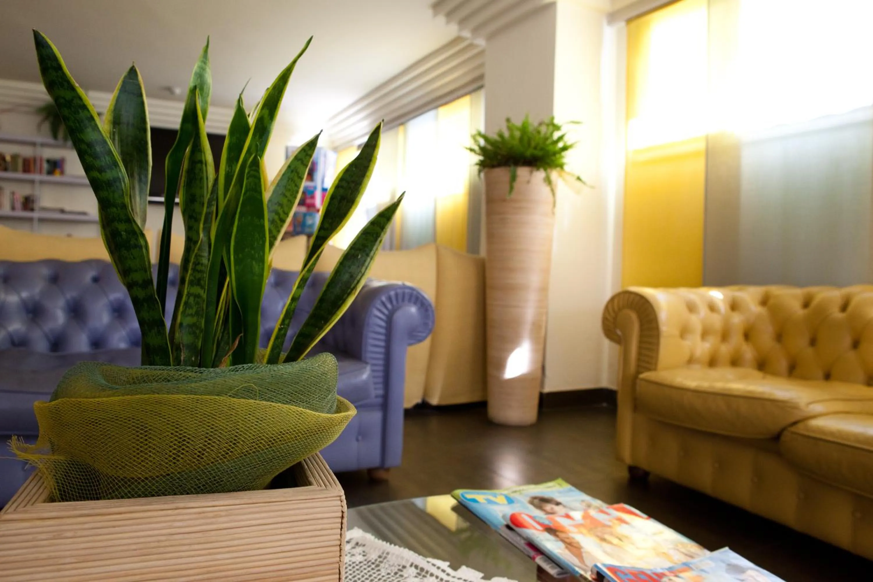 Lobby or reception in Hotel City