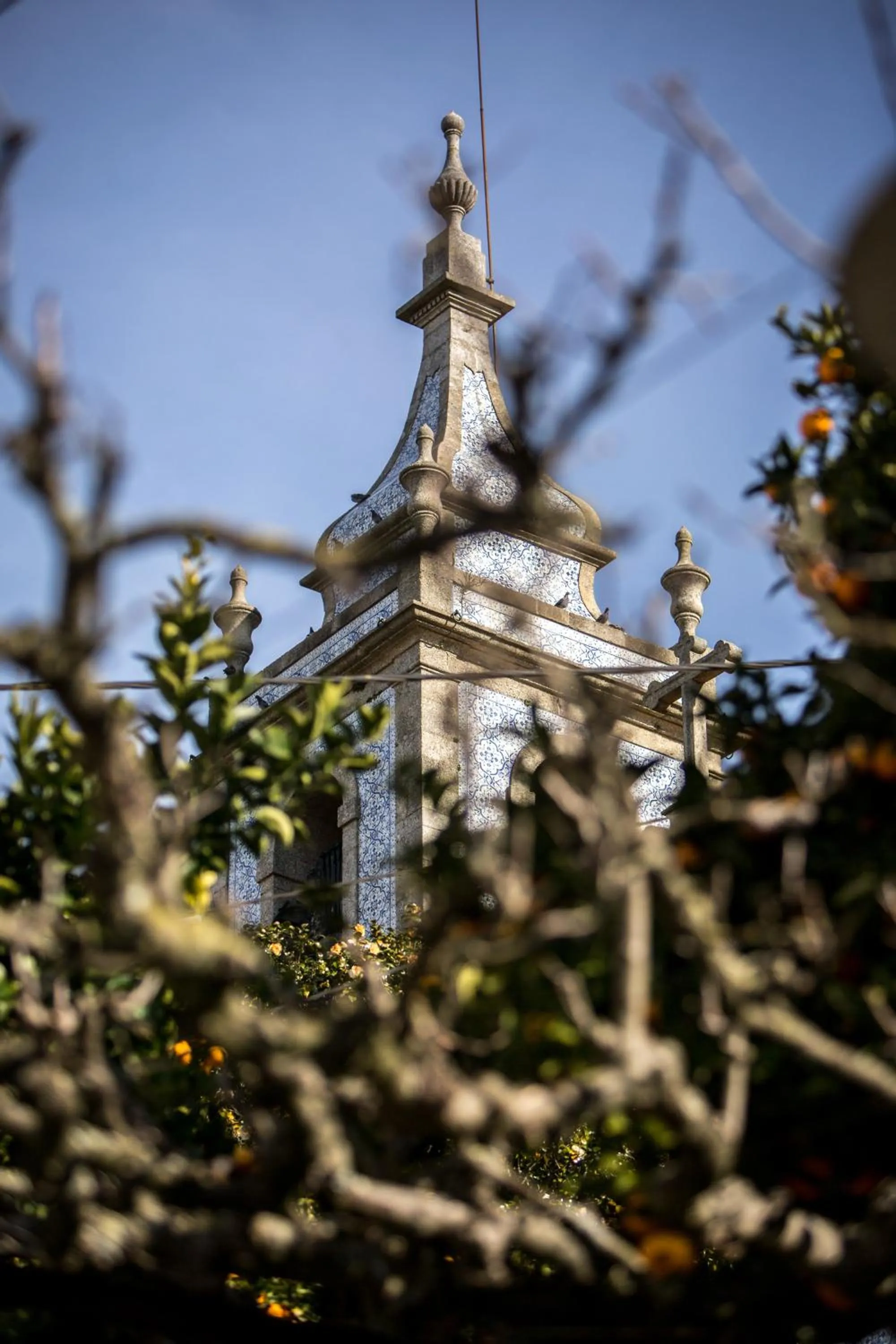 View (from property/room) in Quinta Sao Miguel de Arcos