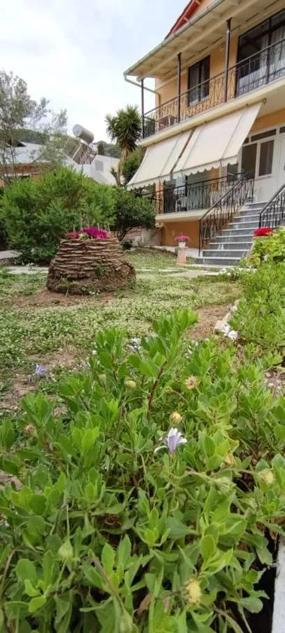 Garden in Gardelis Gardens