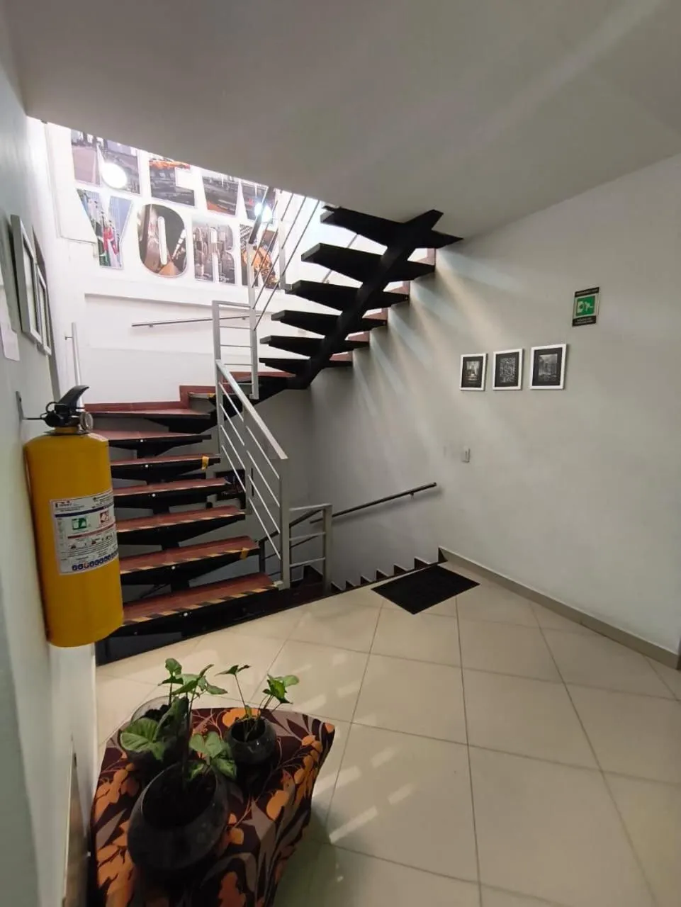 Area and facilities in Hotel Quinta Avenida