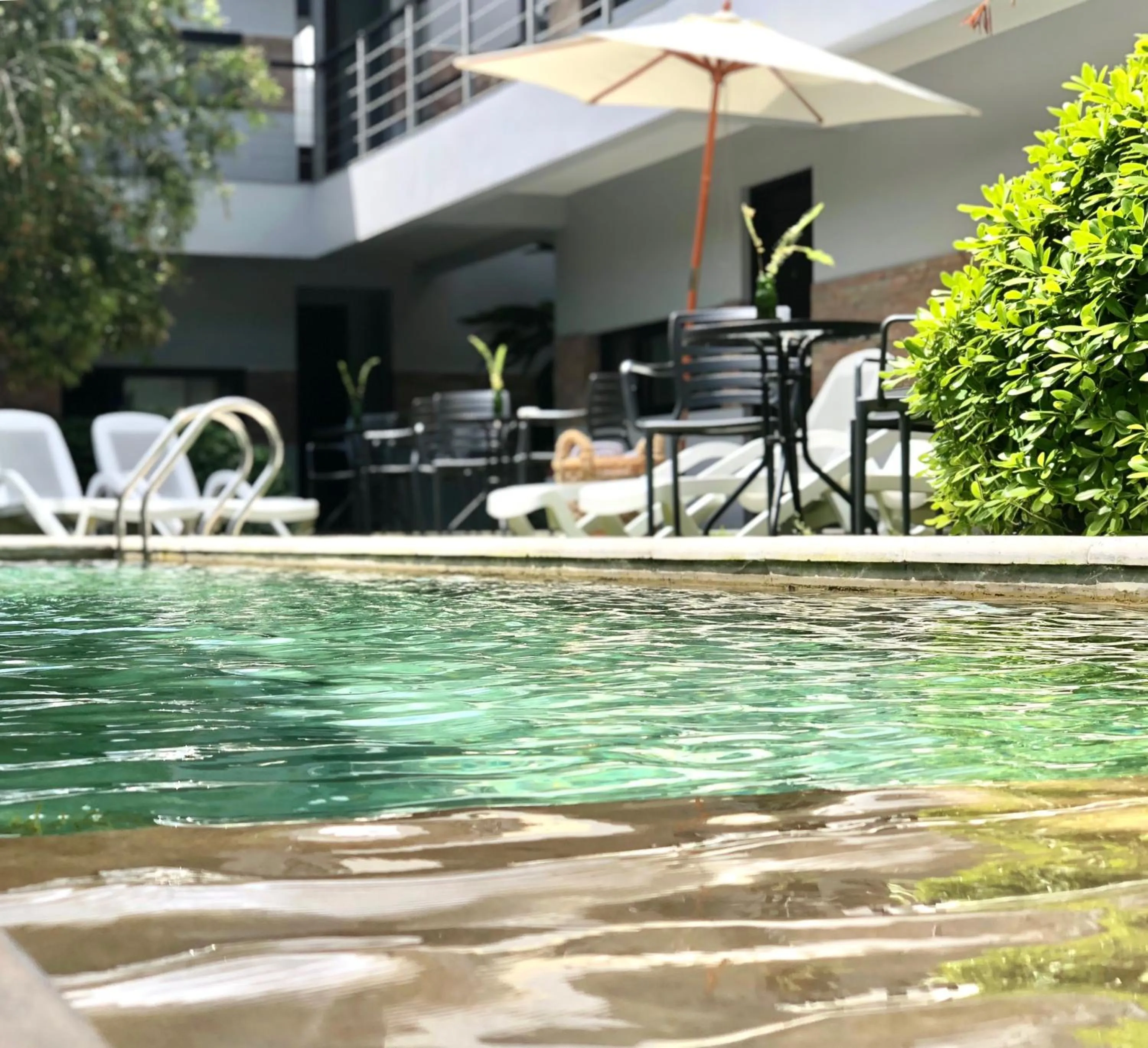 Swimming pool in Posada Boutique Las Terrazas