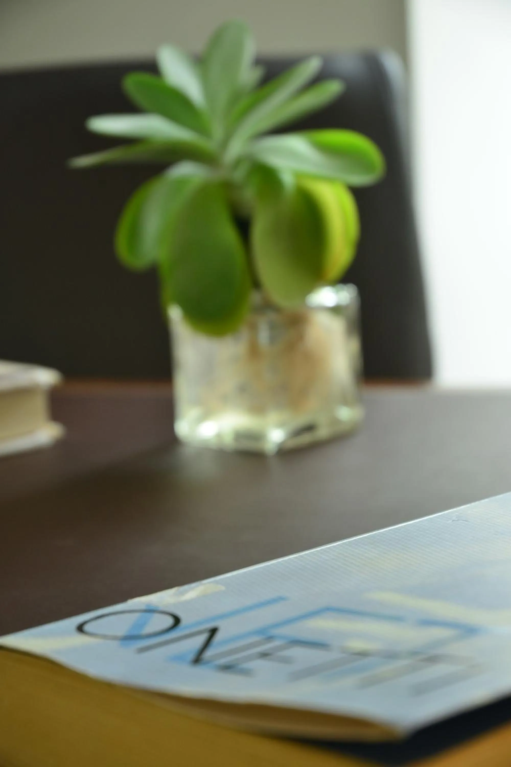 Area and facilities in Posada Boutique Las Terrazas