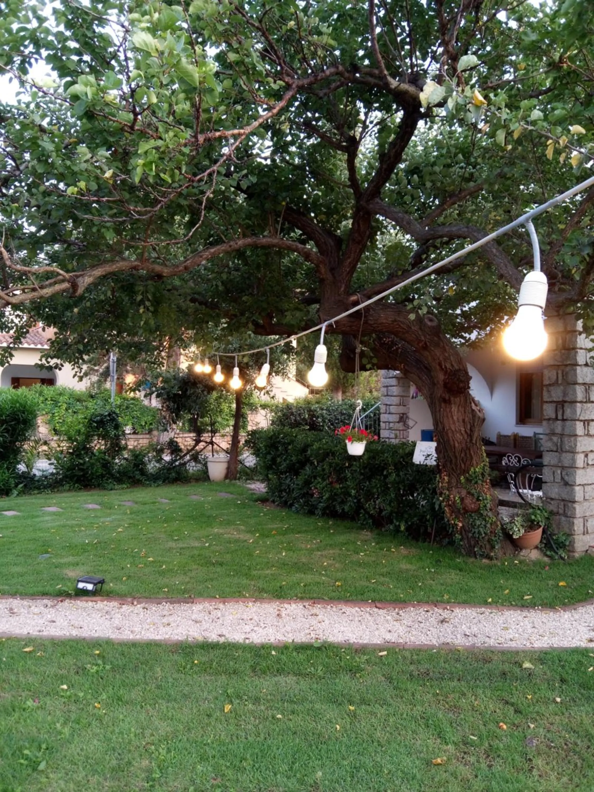 Garden in Hotel Sandalyon