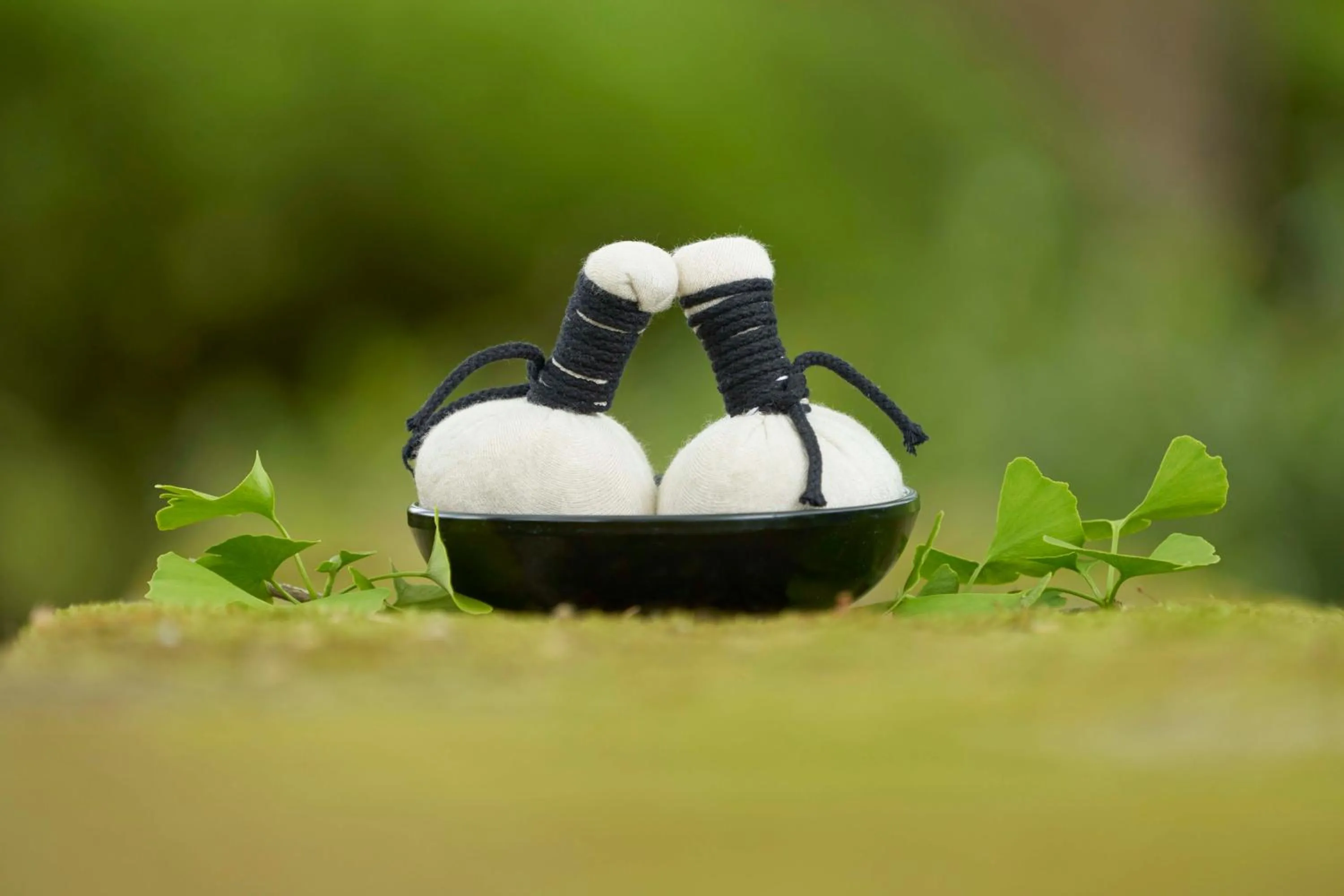 Garden in Terra Nostra Garden Hotel