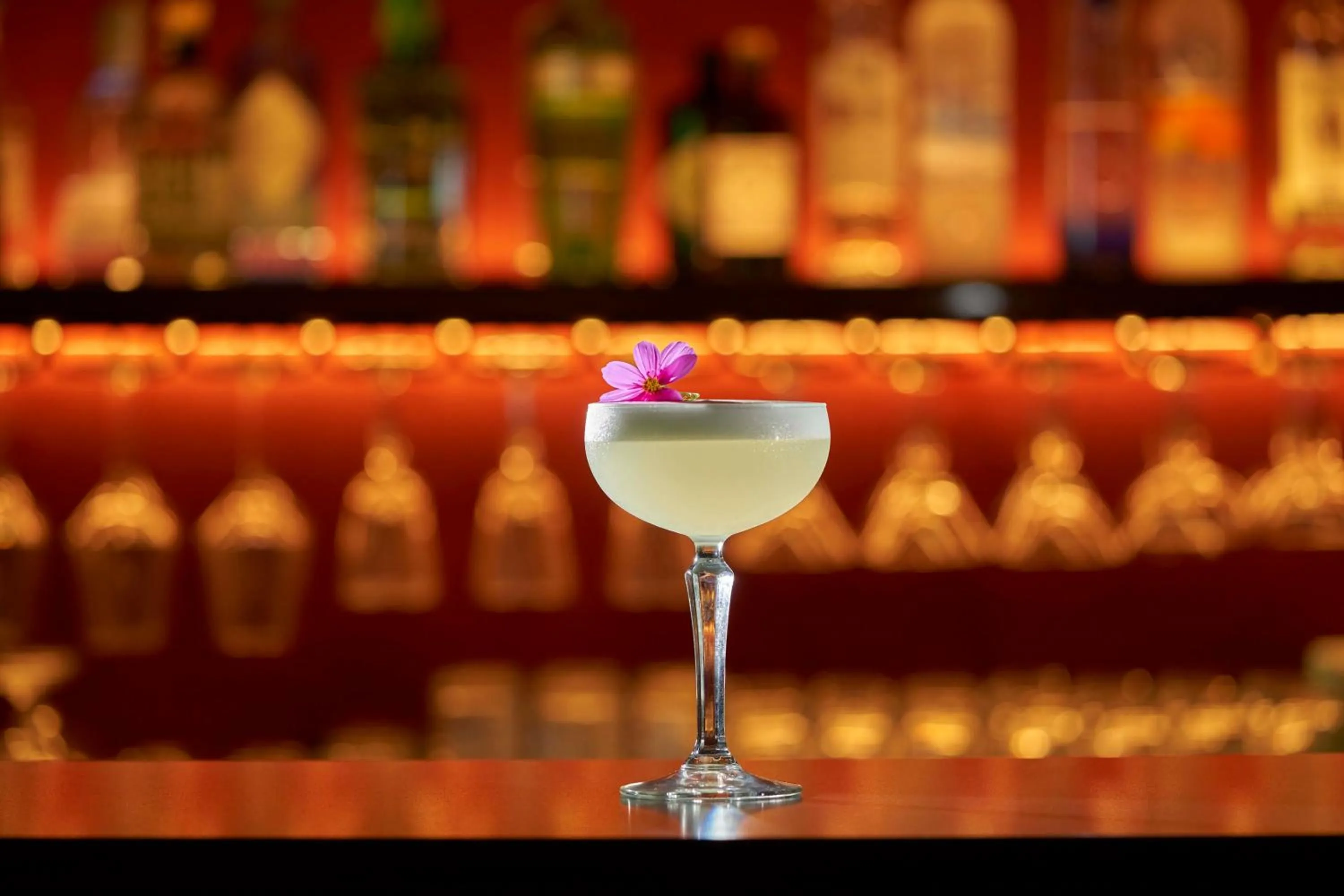 Lounge or bar in Terra Nostra Garden Hotel