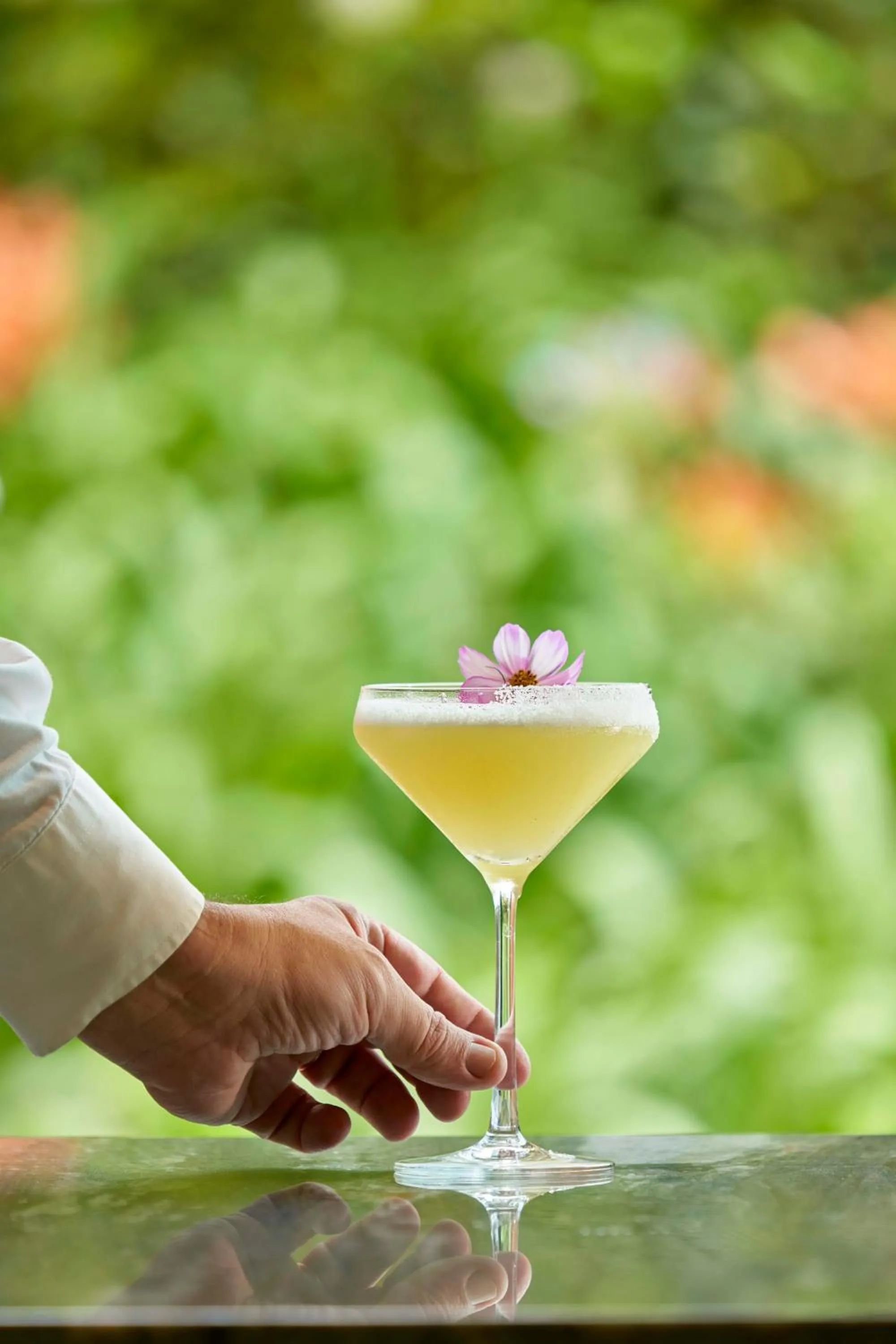 Lounge or bar in Terra Nostra Garden Hotel