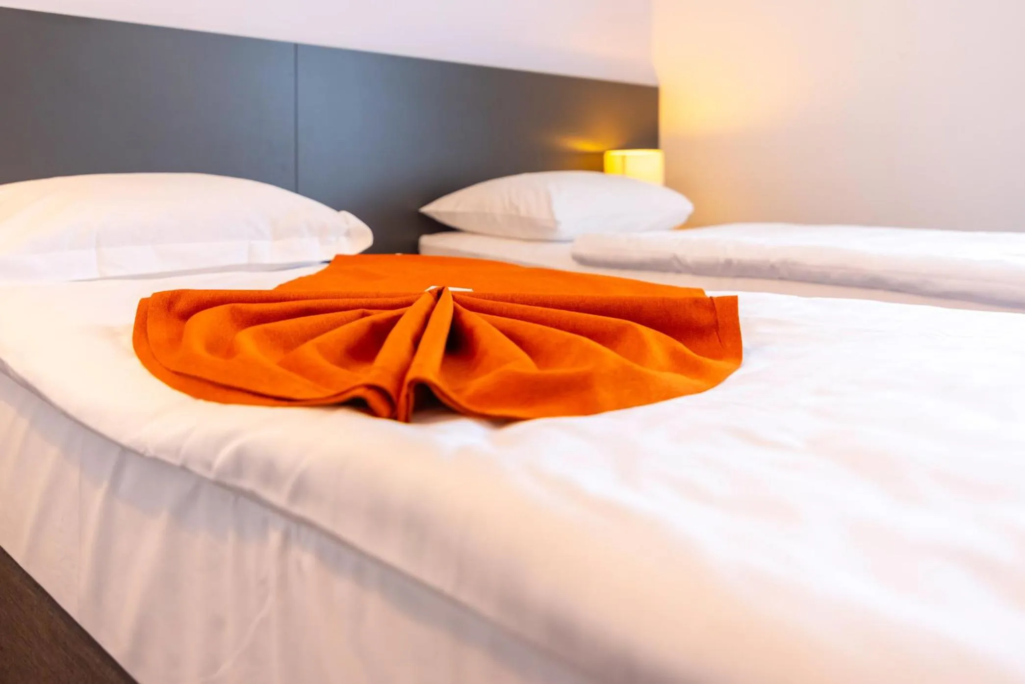 Bed in Hotel Park Superior 3*