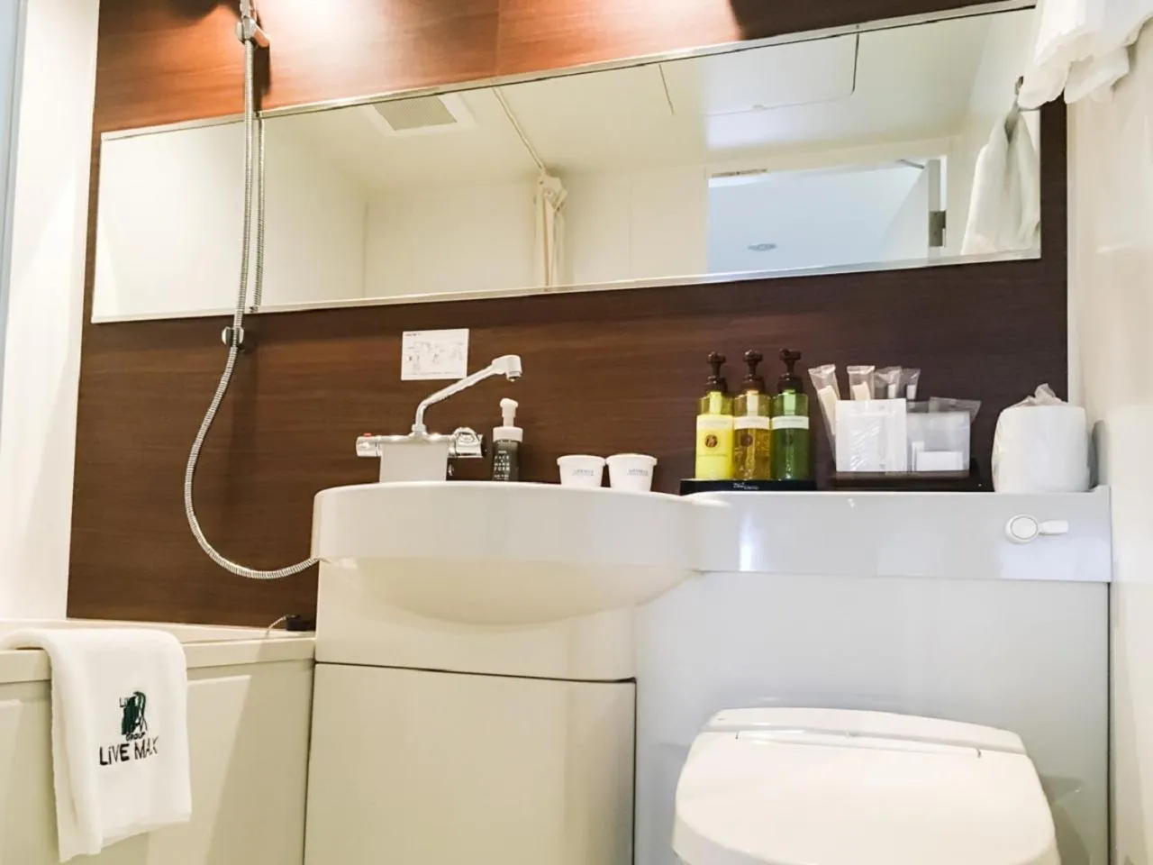 Bathroom in HOTEL LiVEMAX Gifu Ekimae