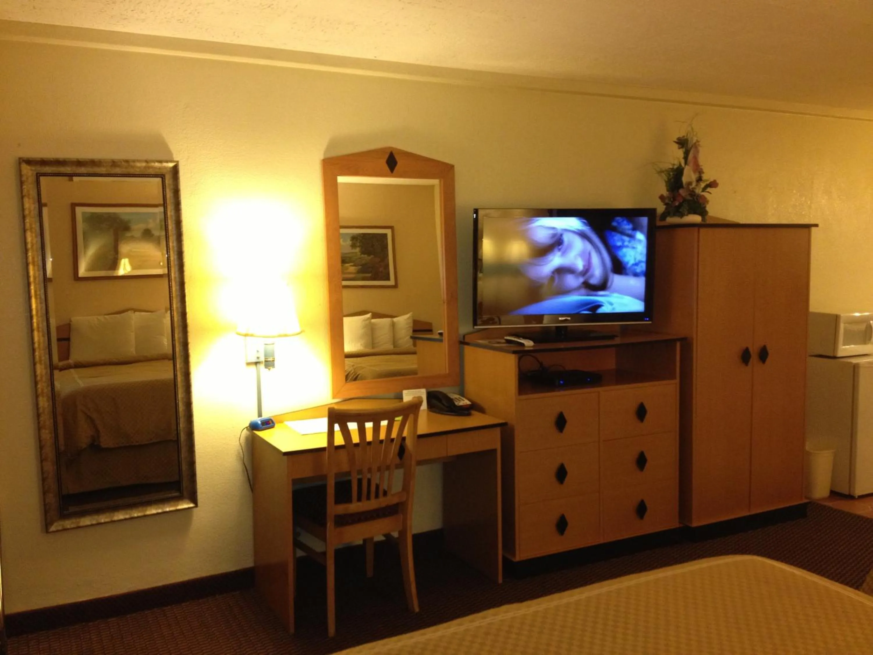 TV and multimedia in Virginia Inn