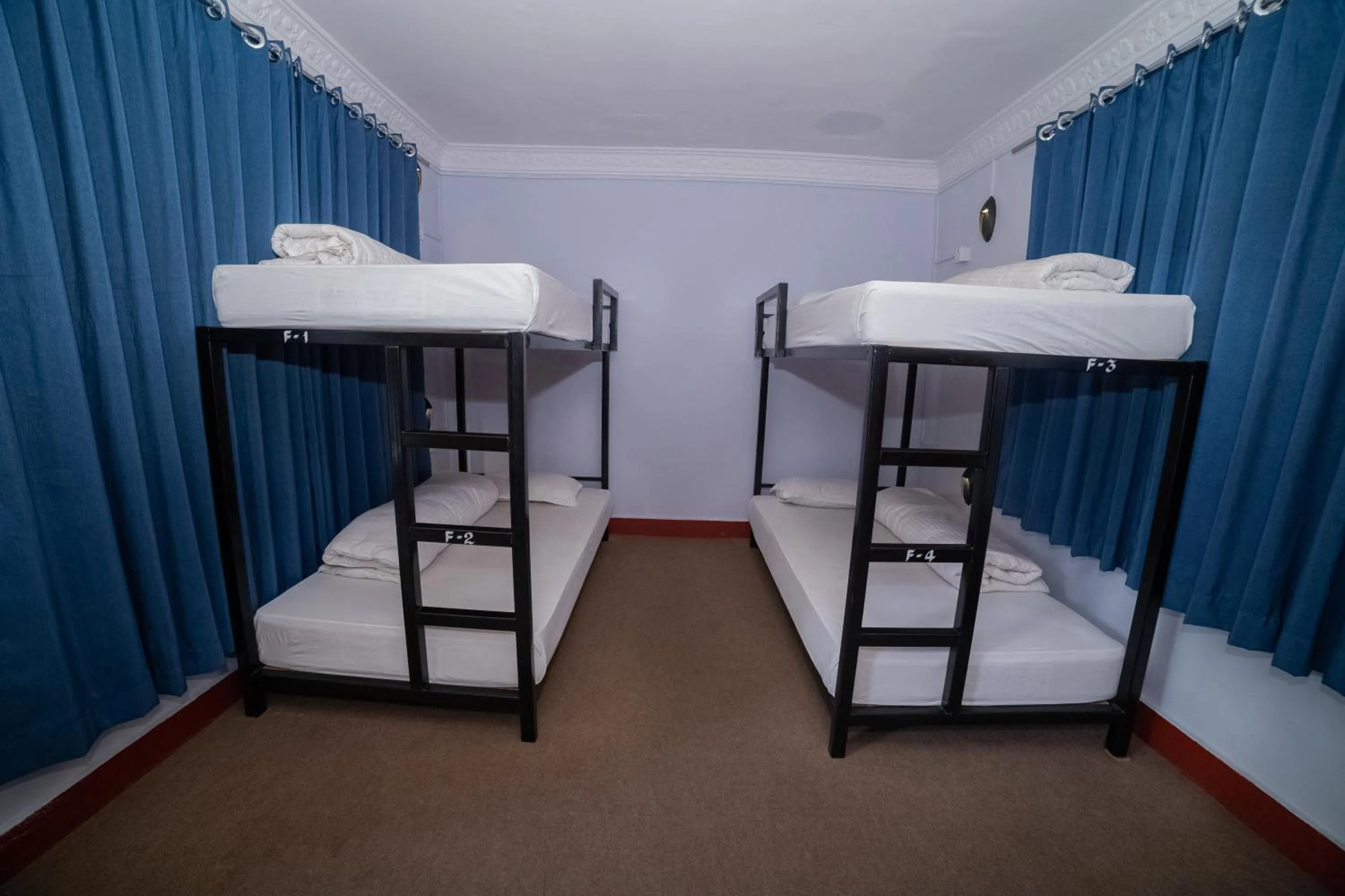 Bed in 4-Bed Female Dormitory Room in Gaurishankar Backpackers hostel