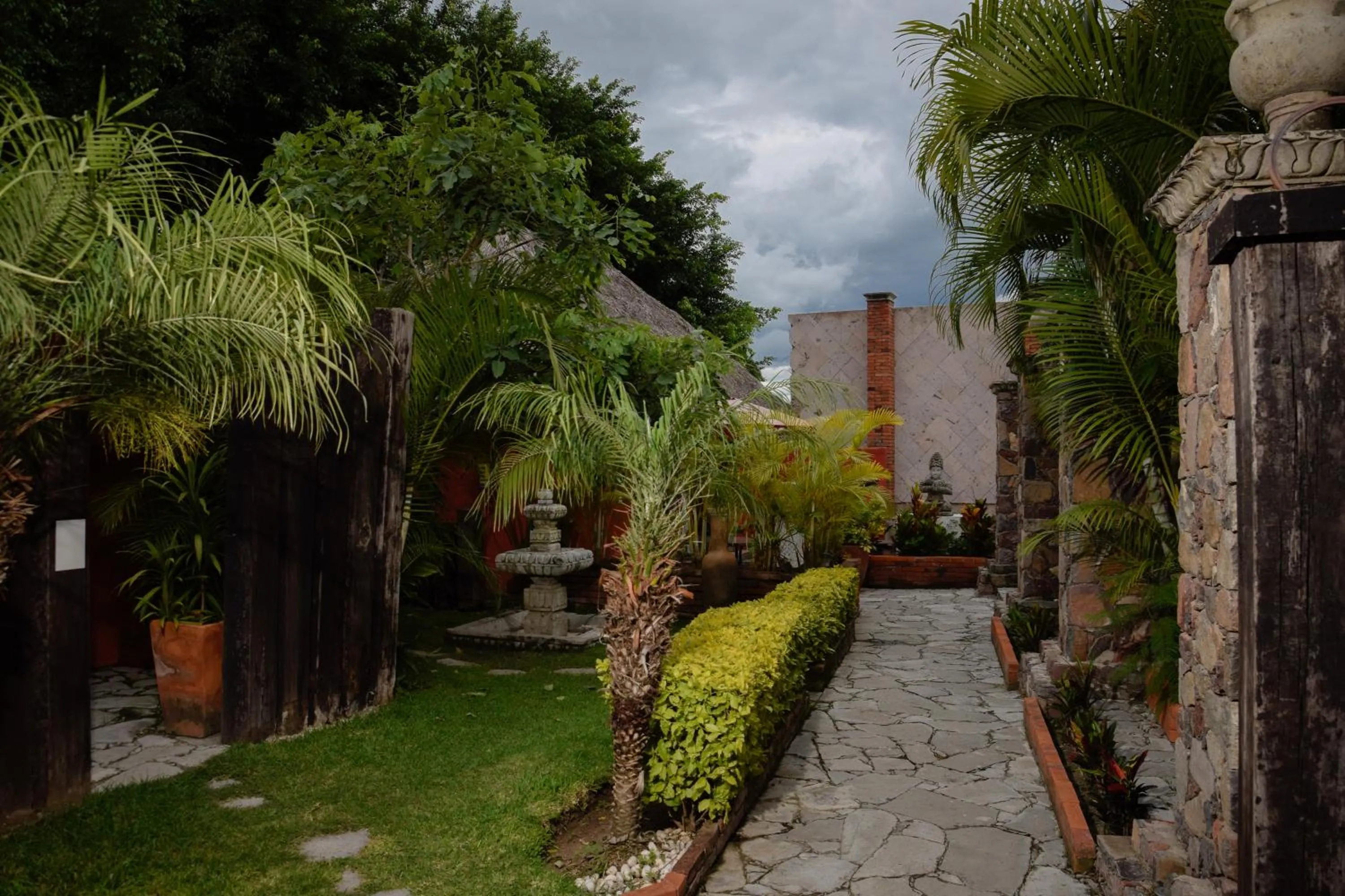 Garden view in Casa Miura Hotel Boutique