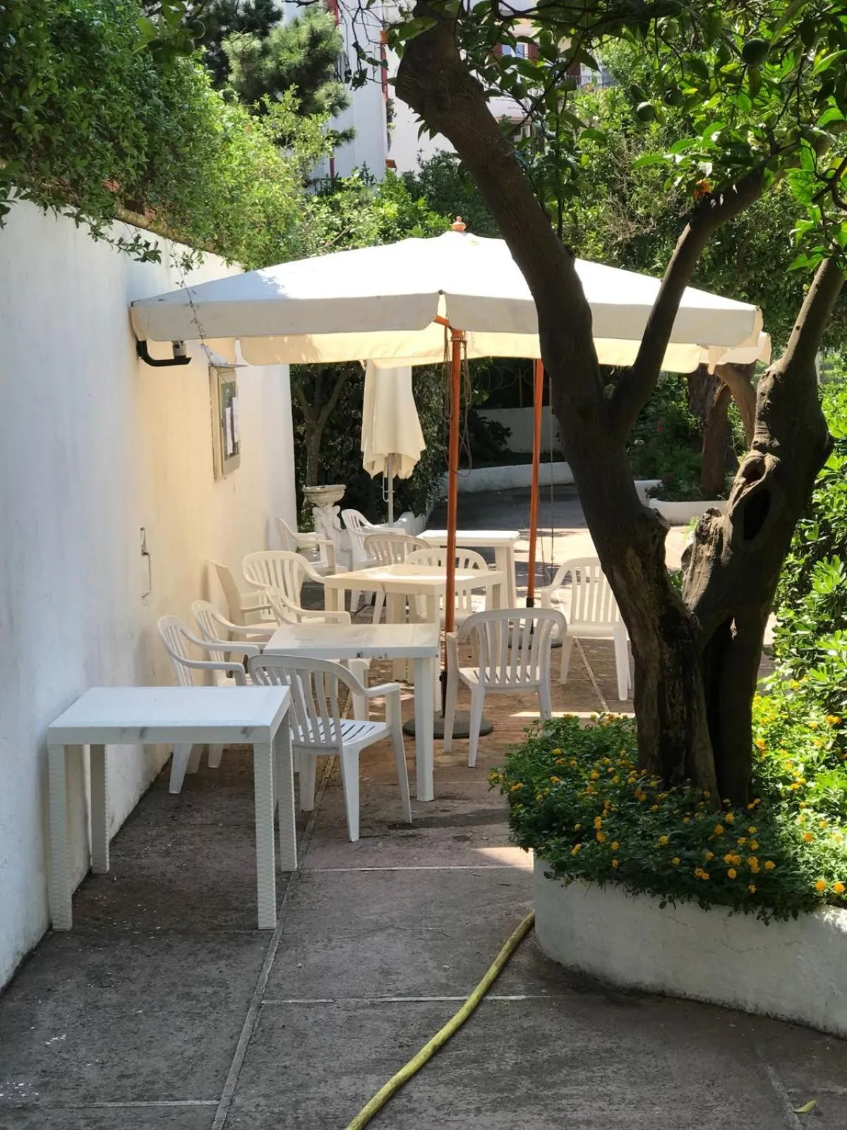 Garden in Sorrento Pool&Suites