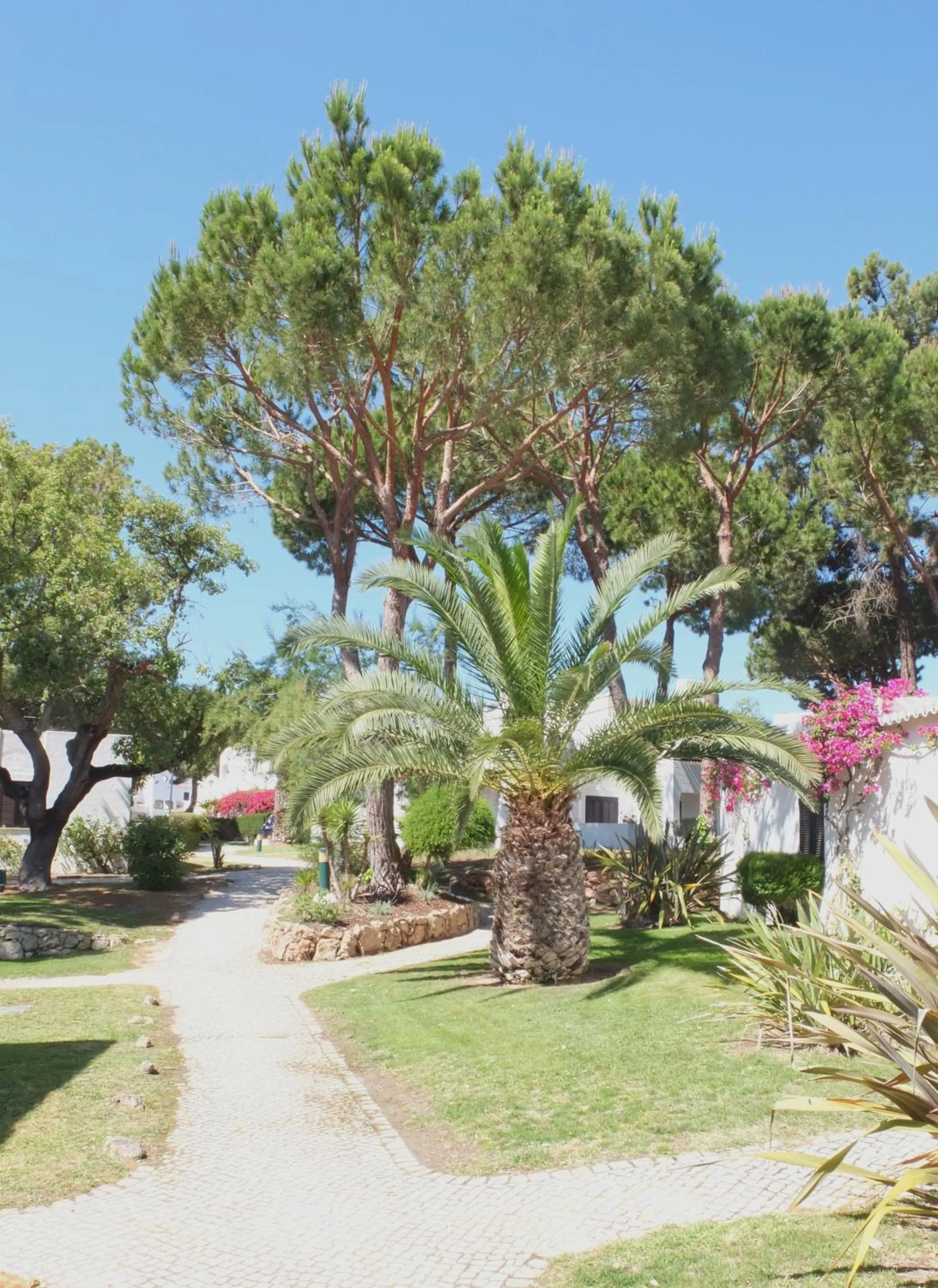 Garden in Balaia Golf Village