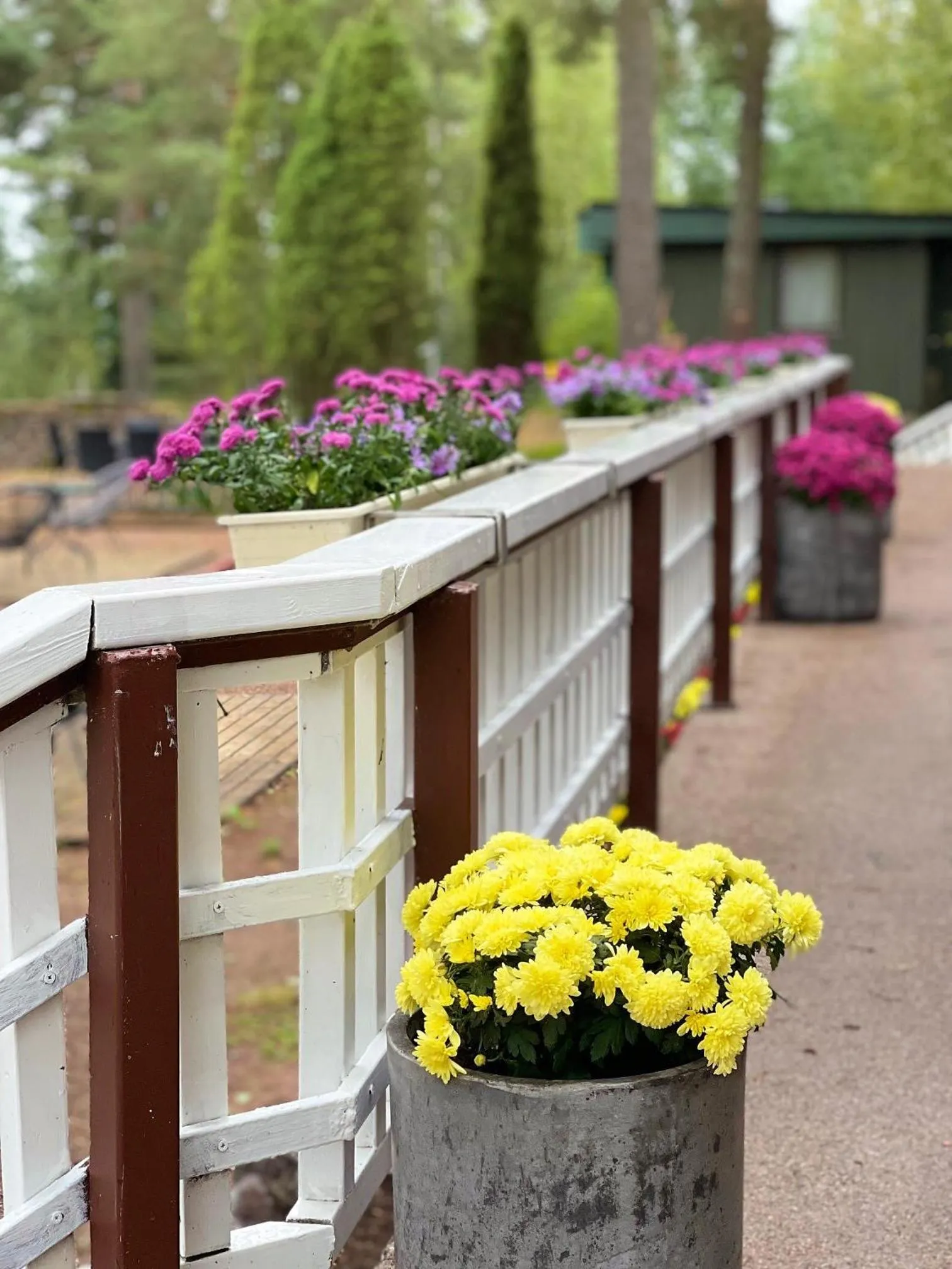 Balcony/Terrace in Beach Hotel Santalahti