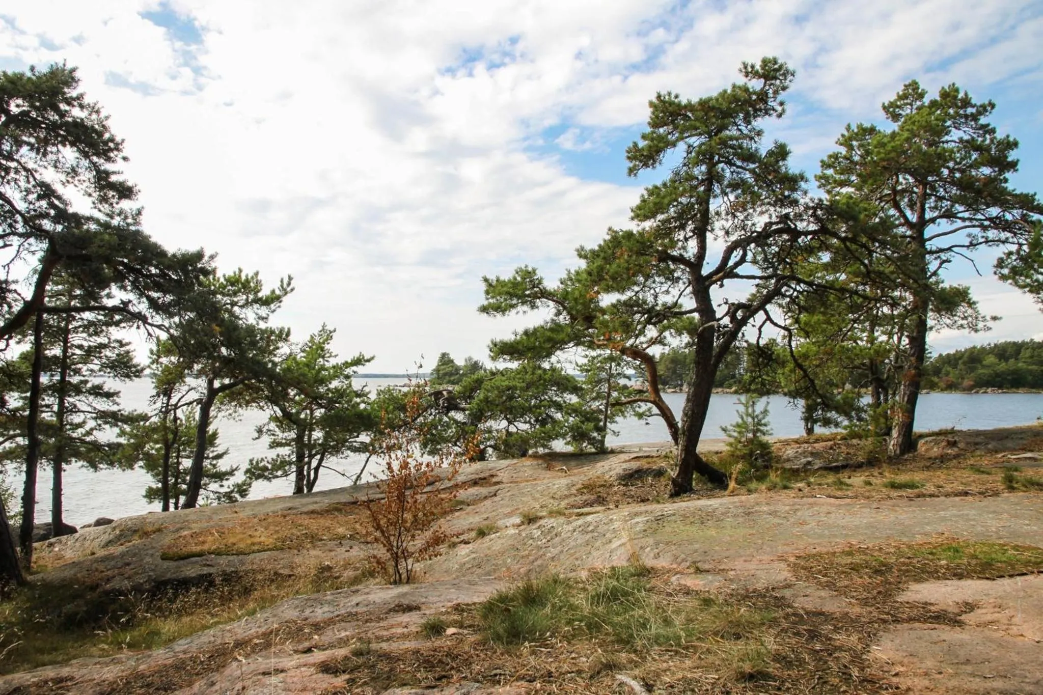 Natural landscape in Beach Hotel Santalahti