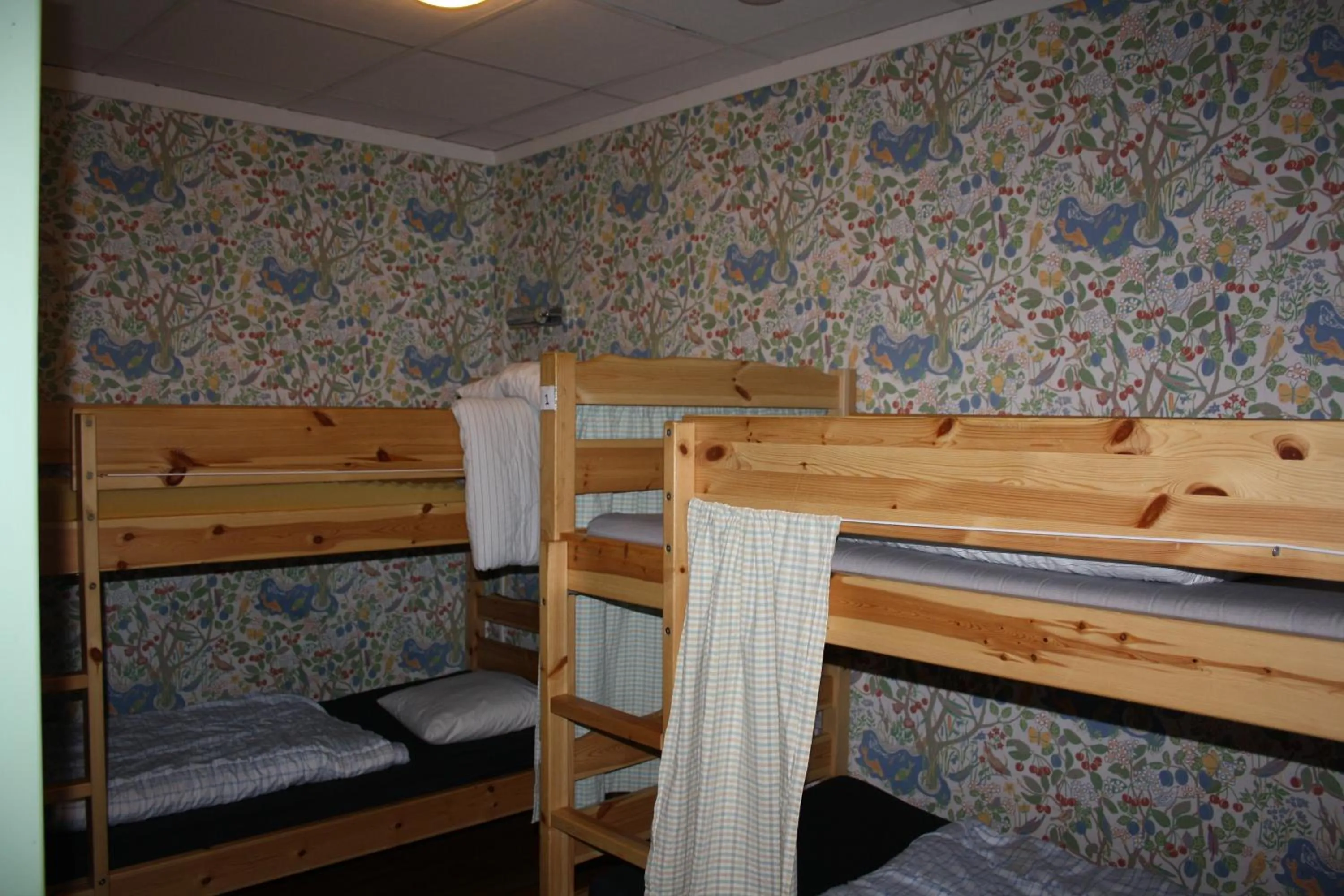 Female Dormitory Room in Hostel Bed & Breakfast