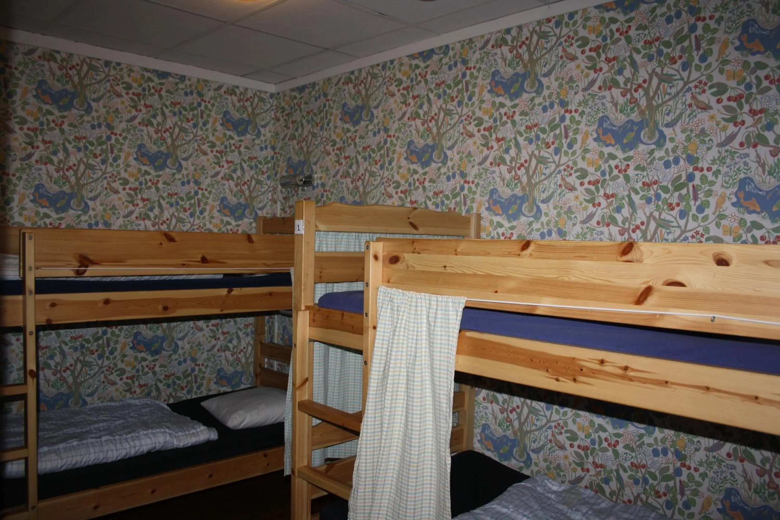 4-Bed Mixed Dormitory Room in Hostel Bed & Breakfast