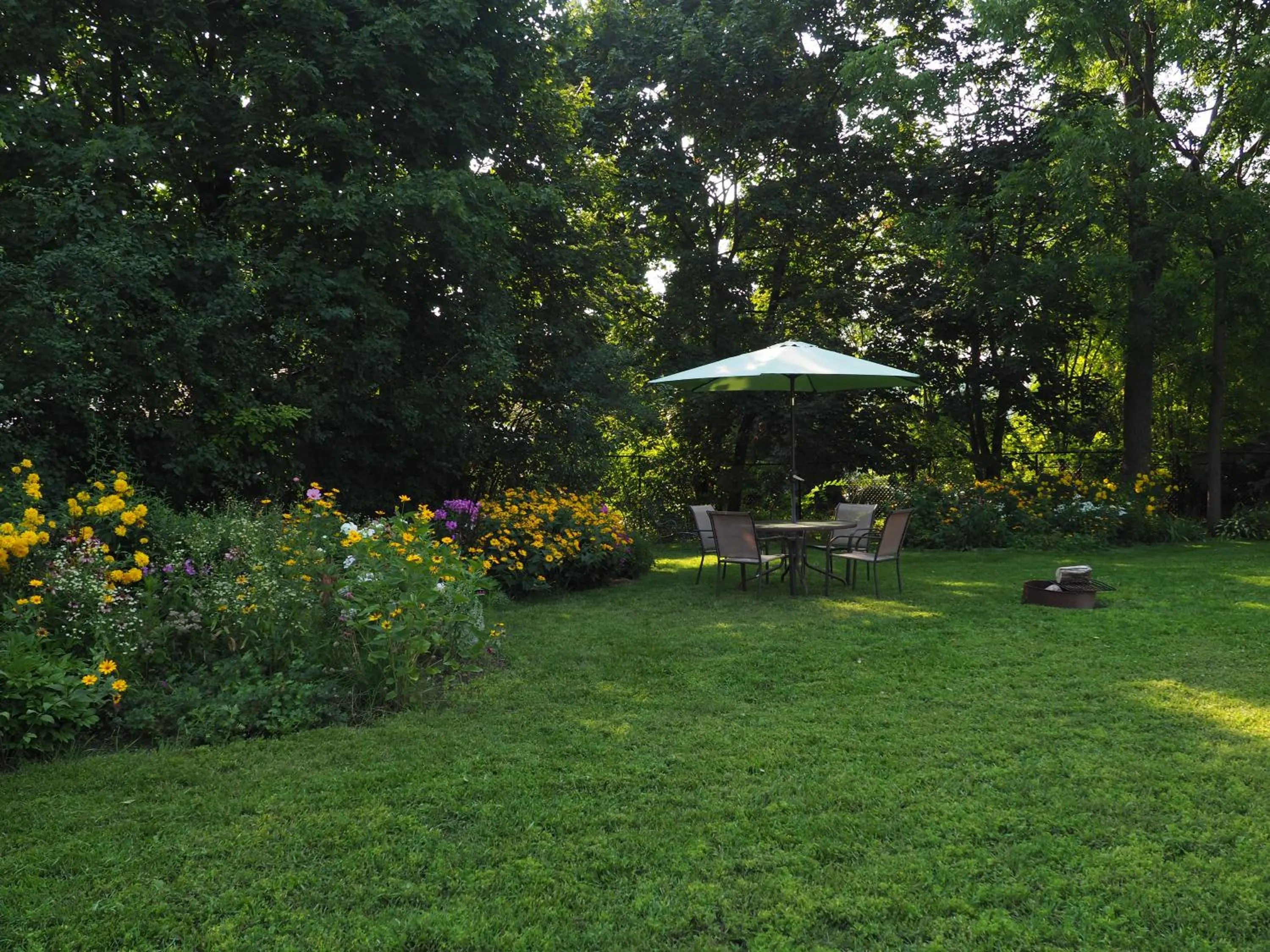 Garden in Parkside House