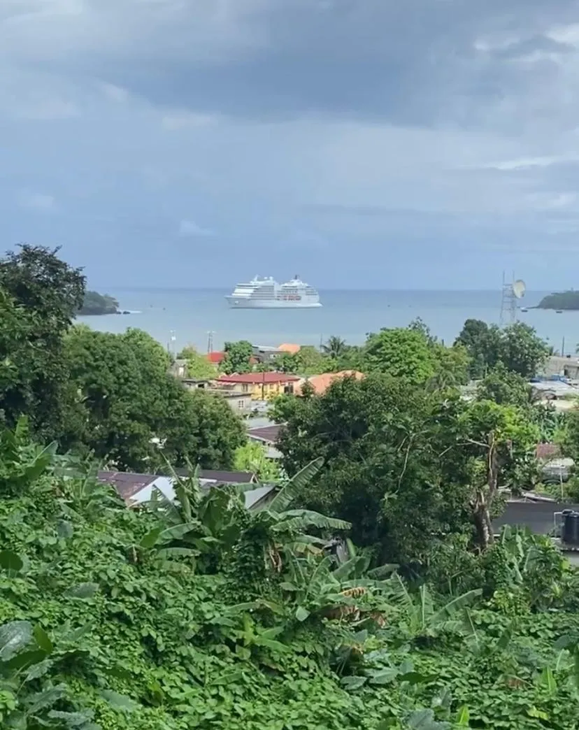 City view in Viva Violas